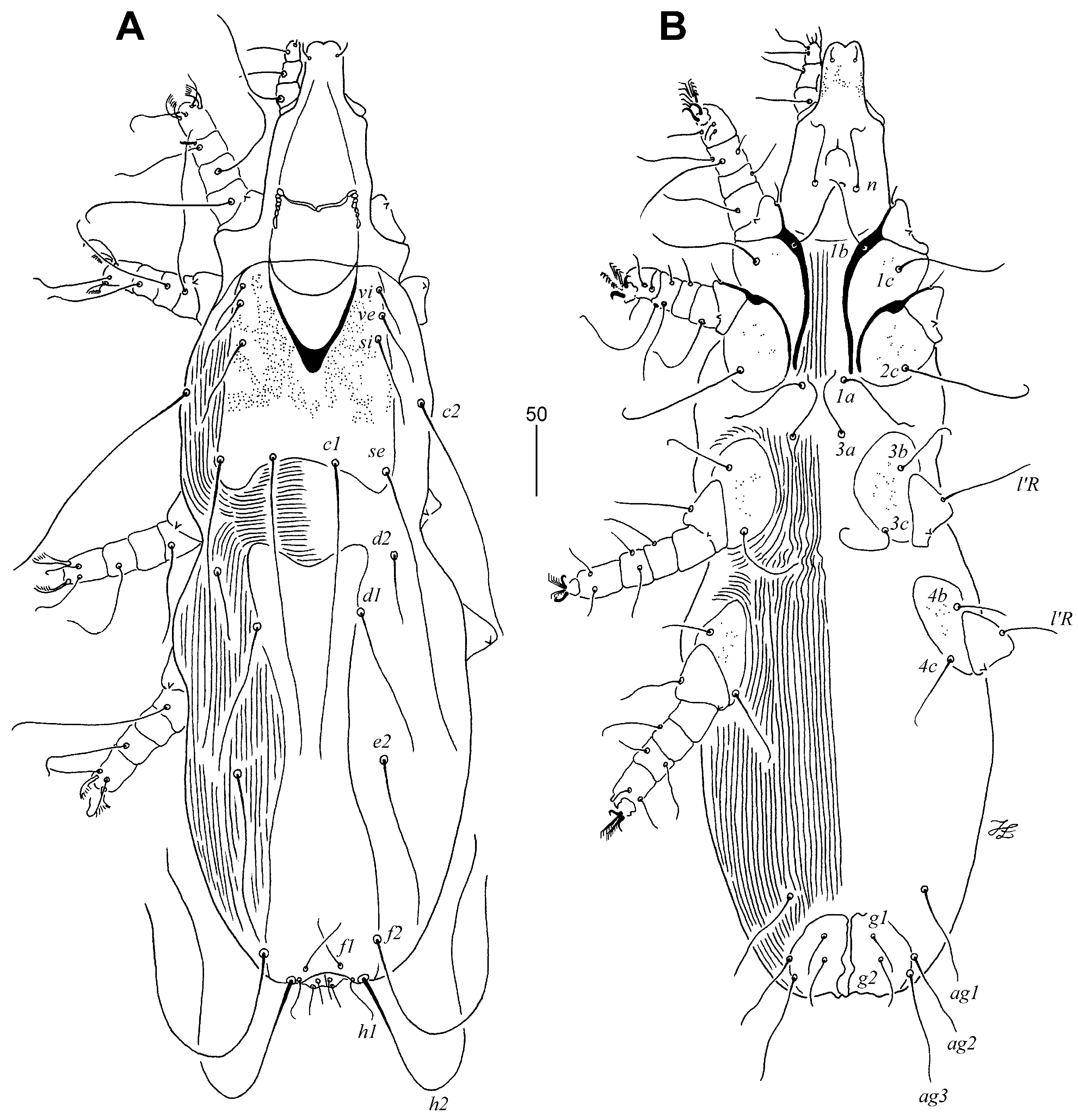 Animals 13 02728 g002