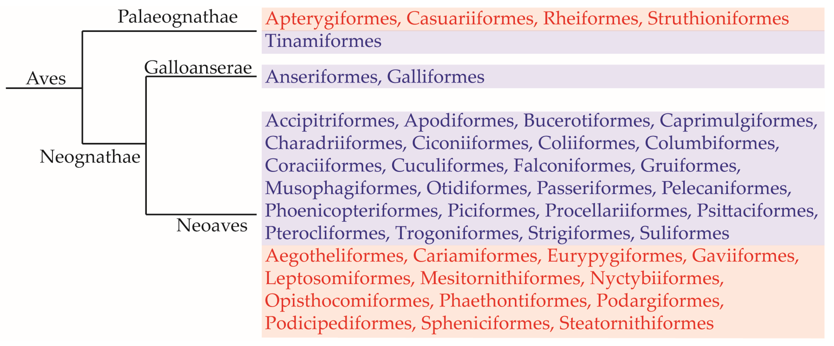 Animals 13 02728 g007