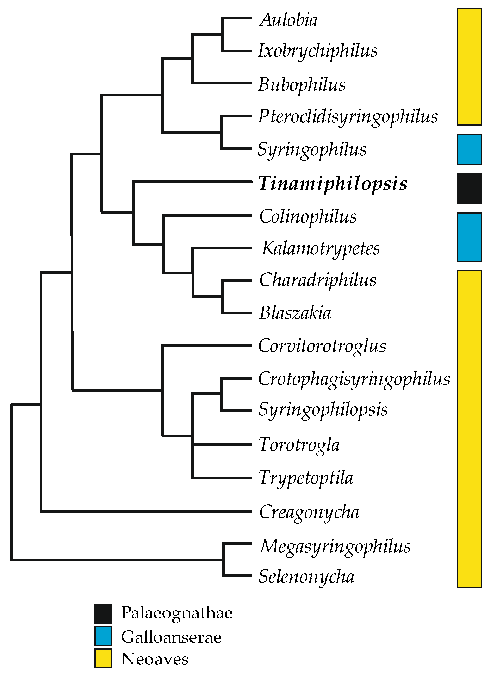 Animals 13 02728 g008
