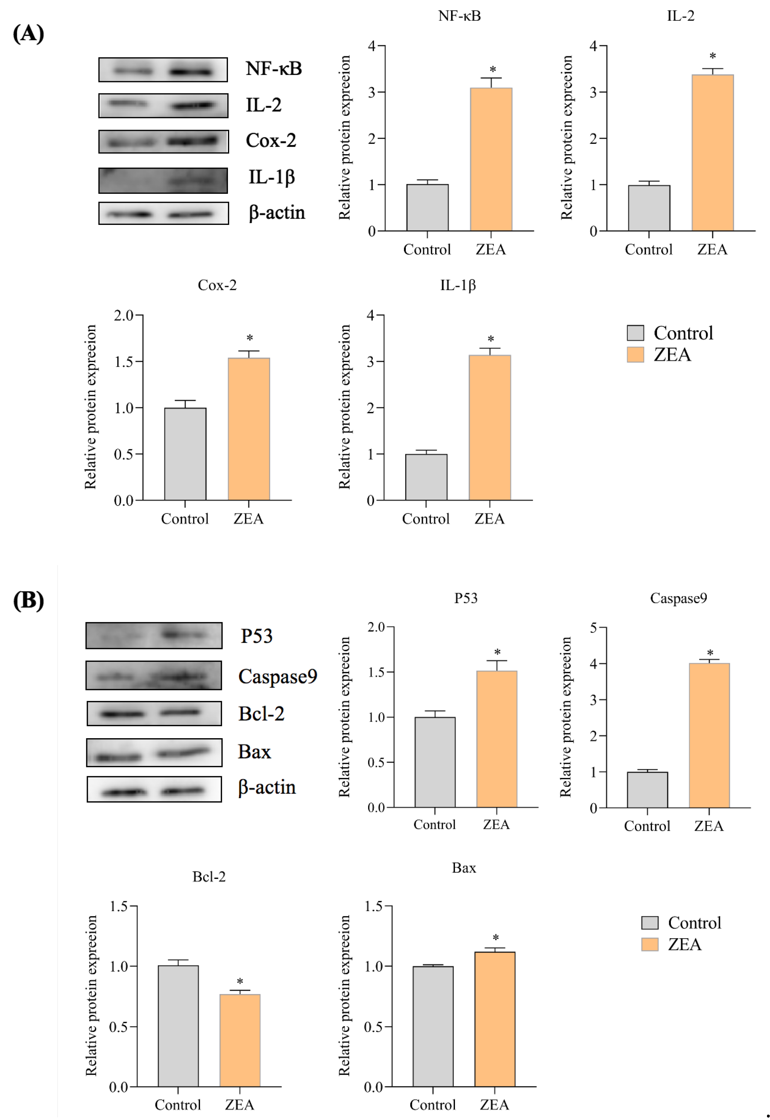 Animals 13 02731 g006