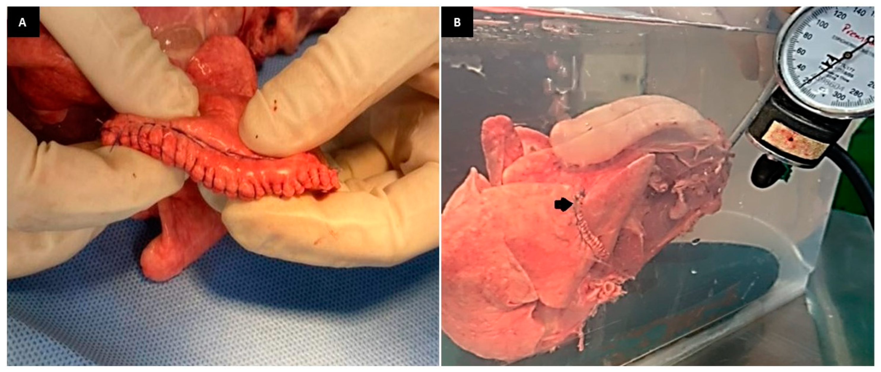 Animals 13 02732 g004