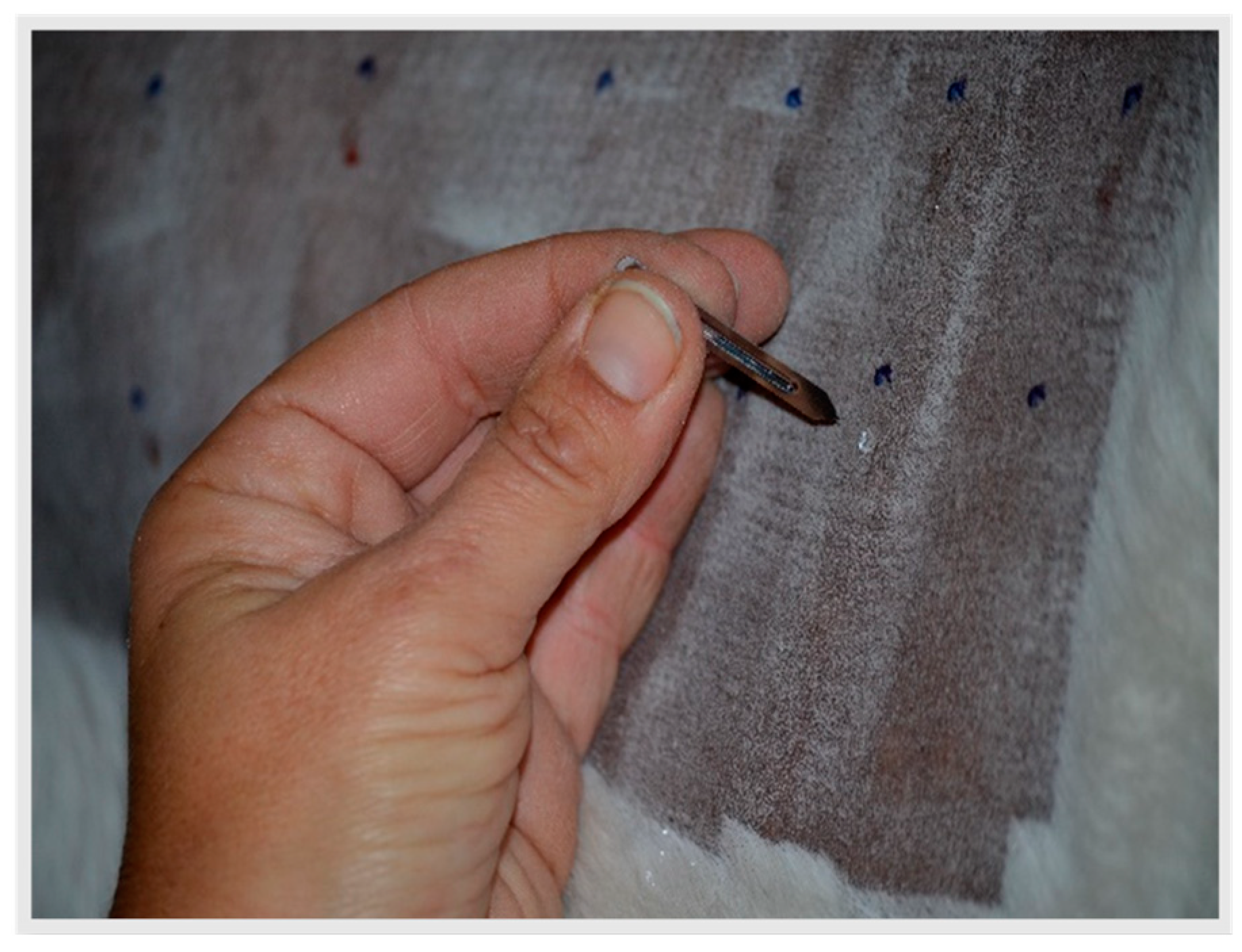 Animals 13 02733 g002