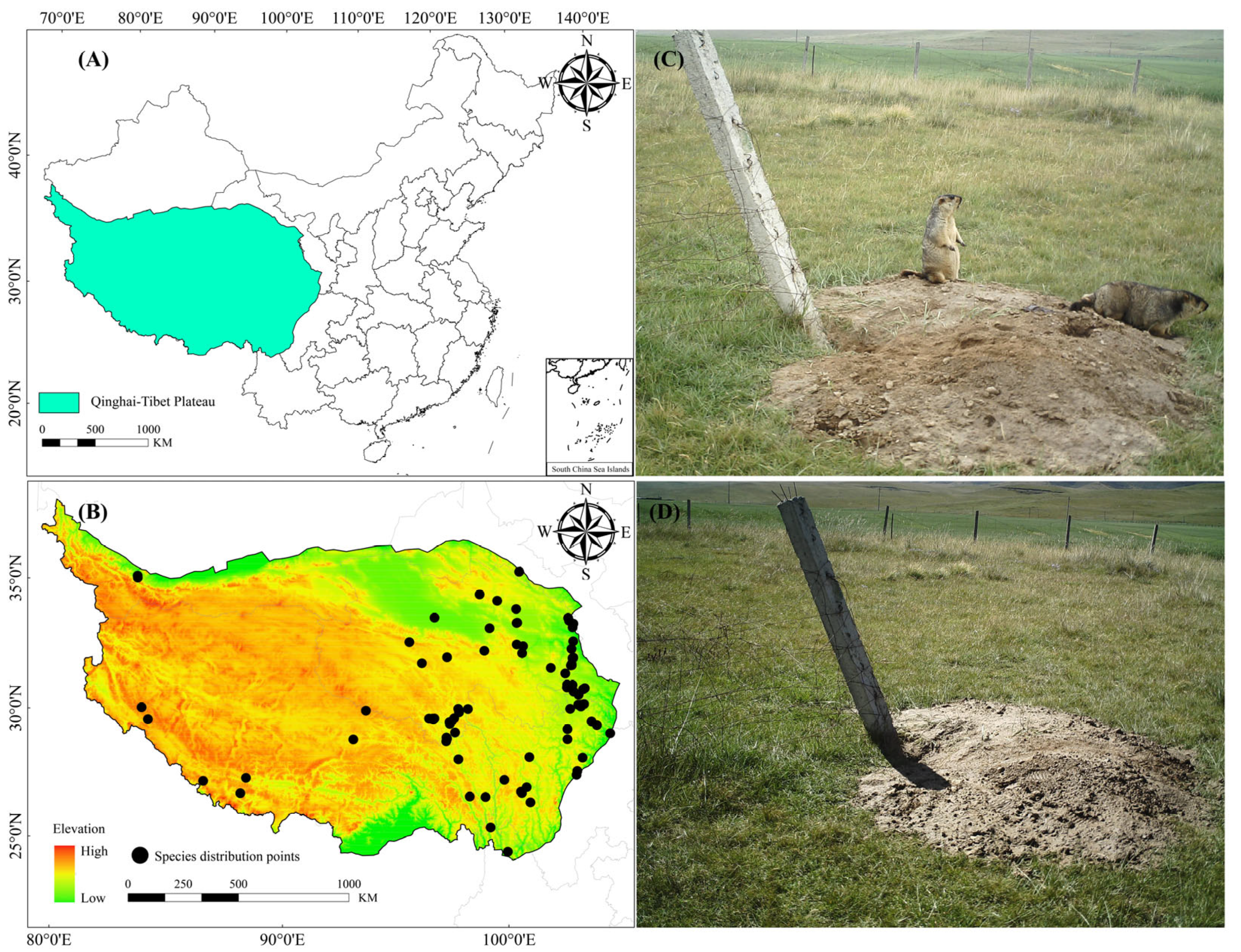 Animals 13 02736 g001