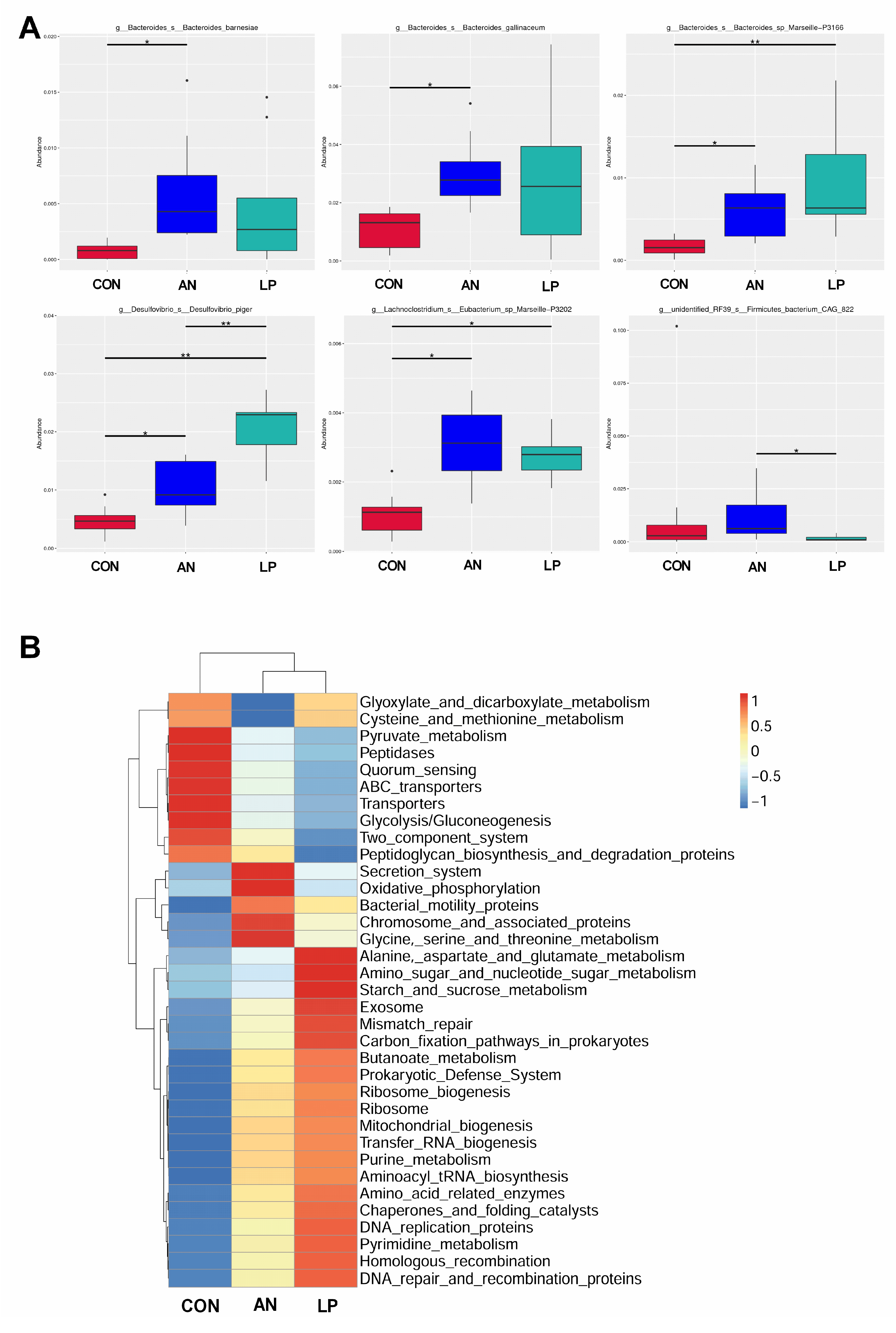 Animals 13 02739 g007 Animals 13 02739 g007