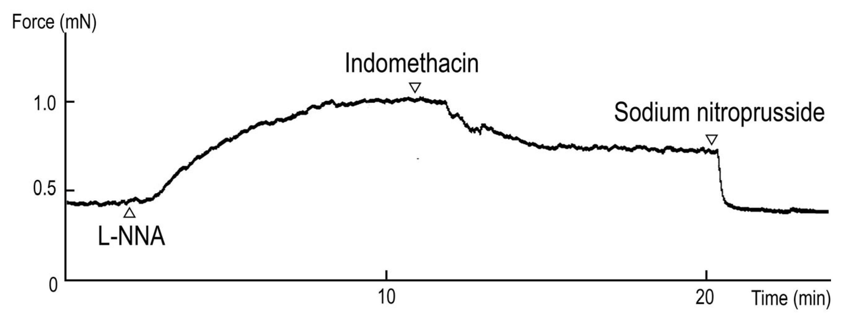 Animals 13 02740 g001