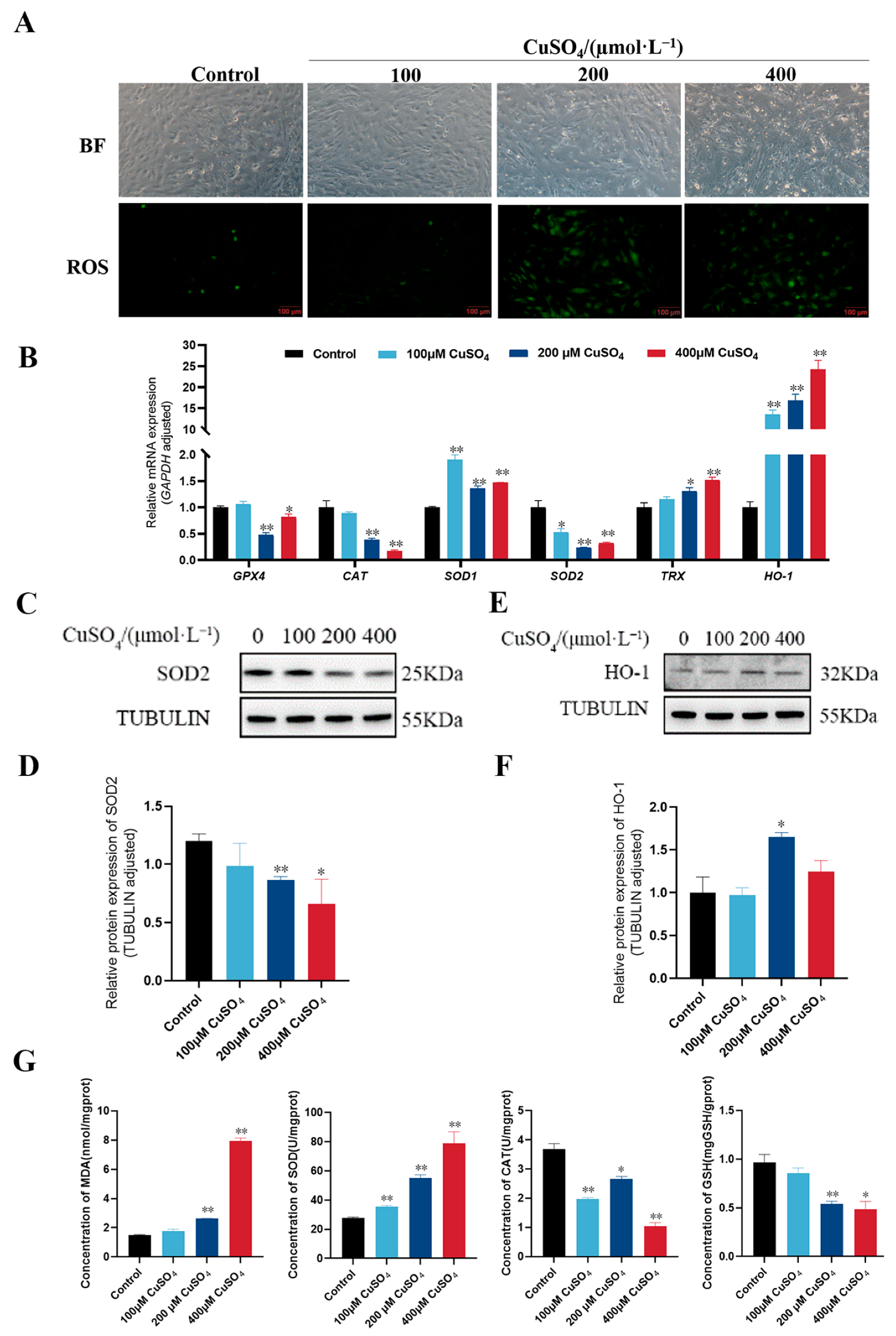Animals 13 02745 g002