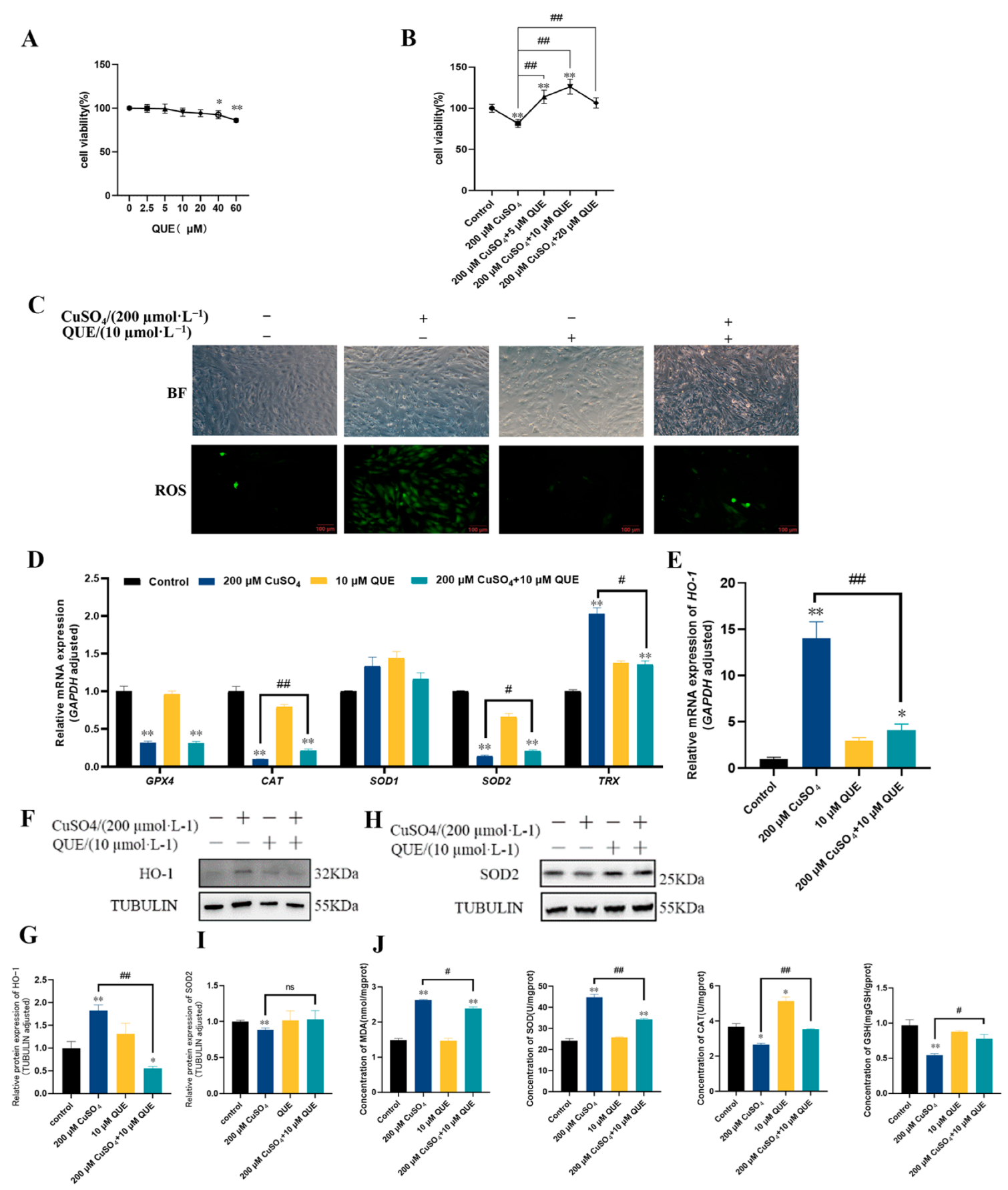 Animals 13 02745 g004