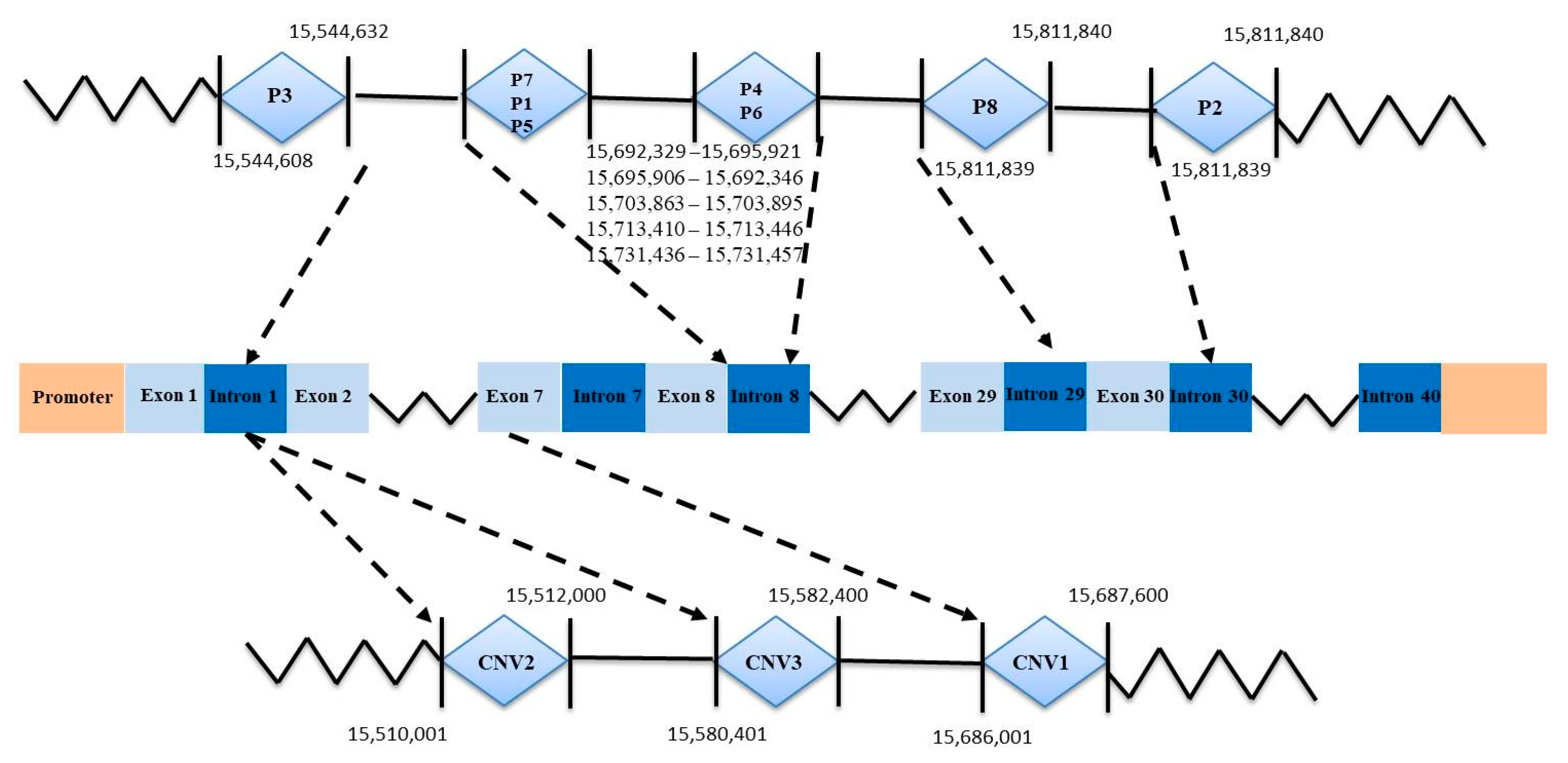 Animals 13 02746 g001