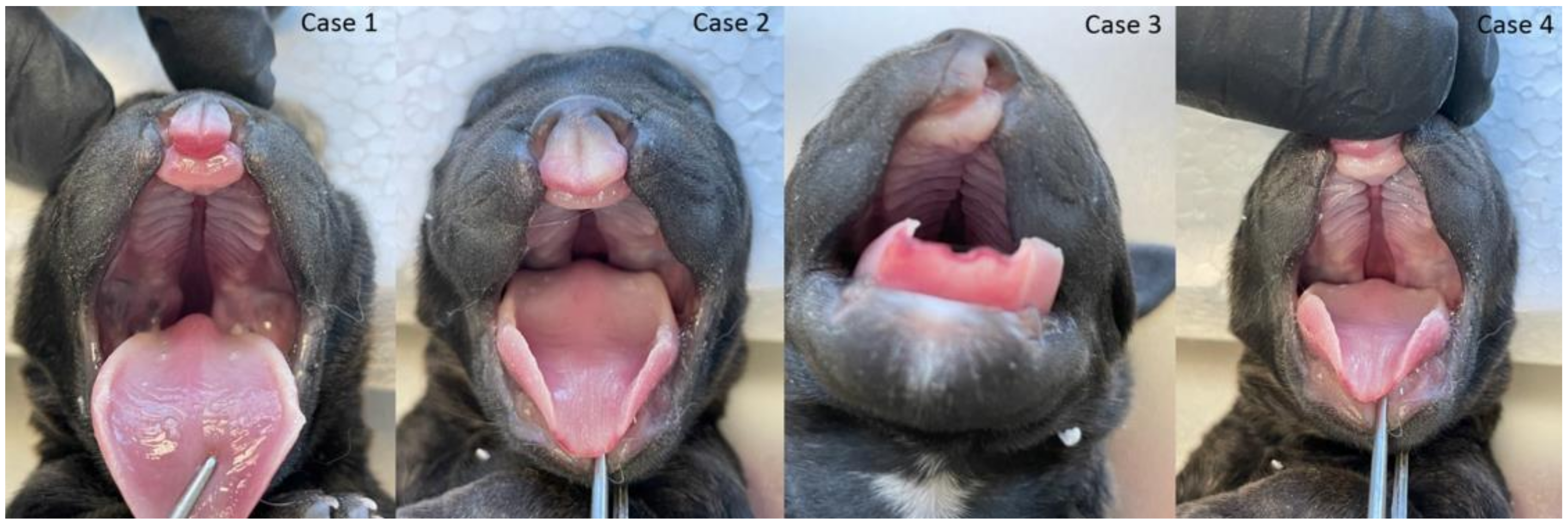 Animals 13 02749 g002