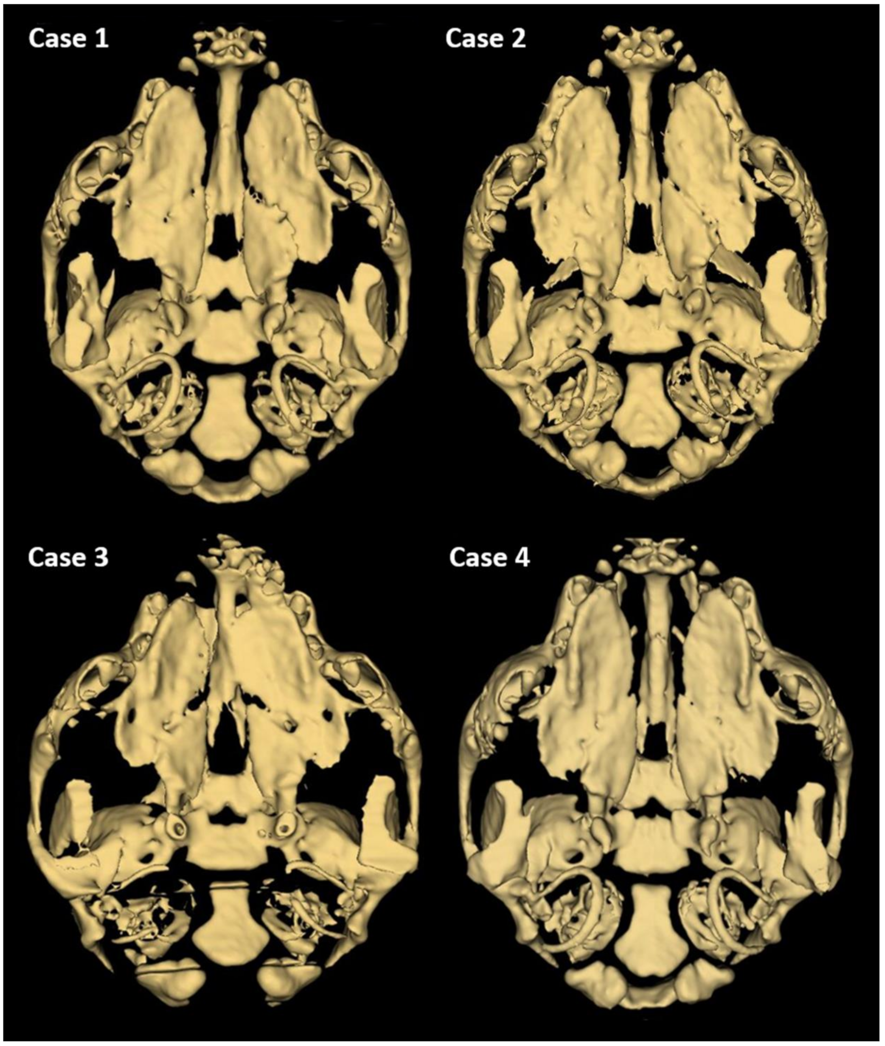 Animals 13 02749 g003