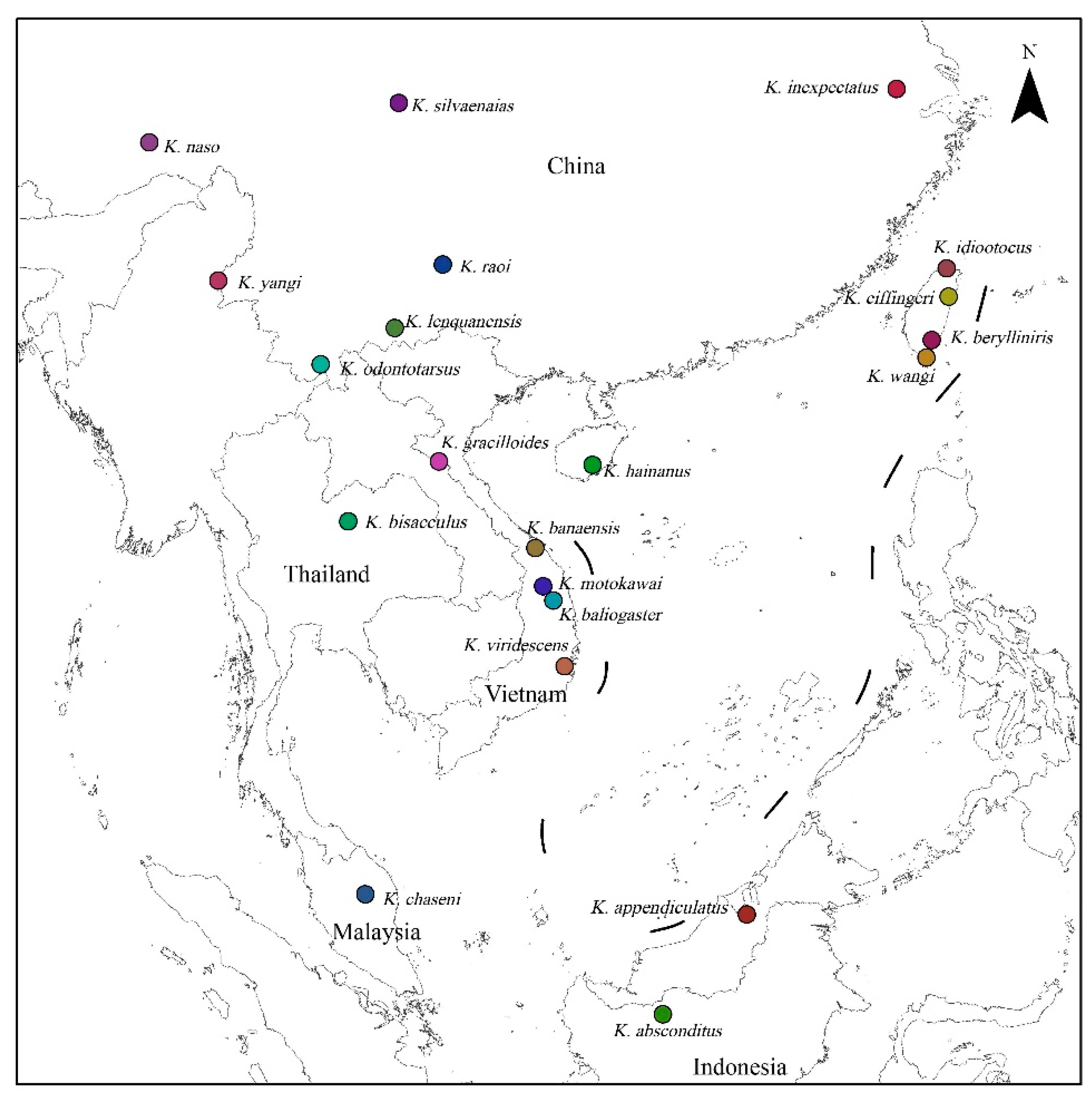 Biogeographic Origin of Kurixalus (Anura, Rhacophoridae) on