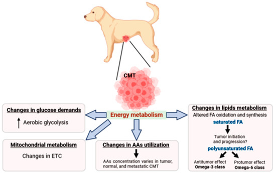 Picture Idea: Metabolic Alterations In Canine Mammary Tumors