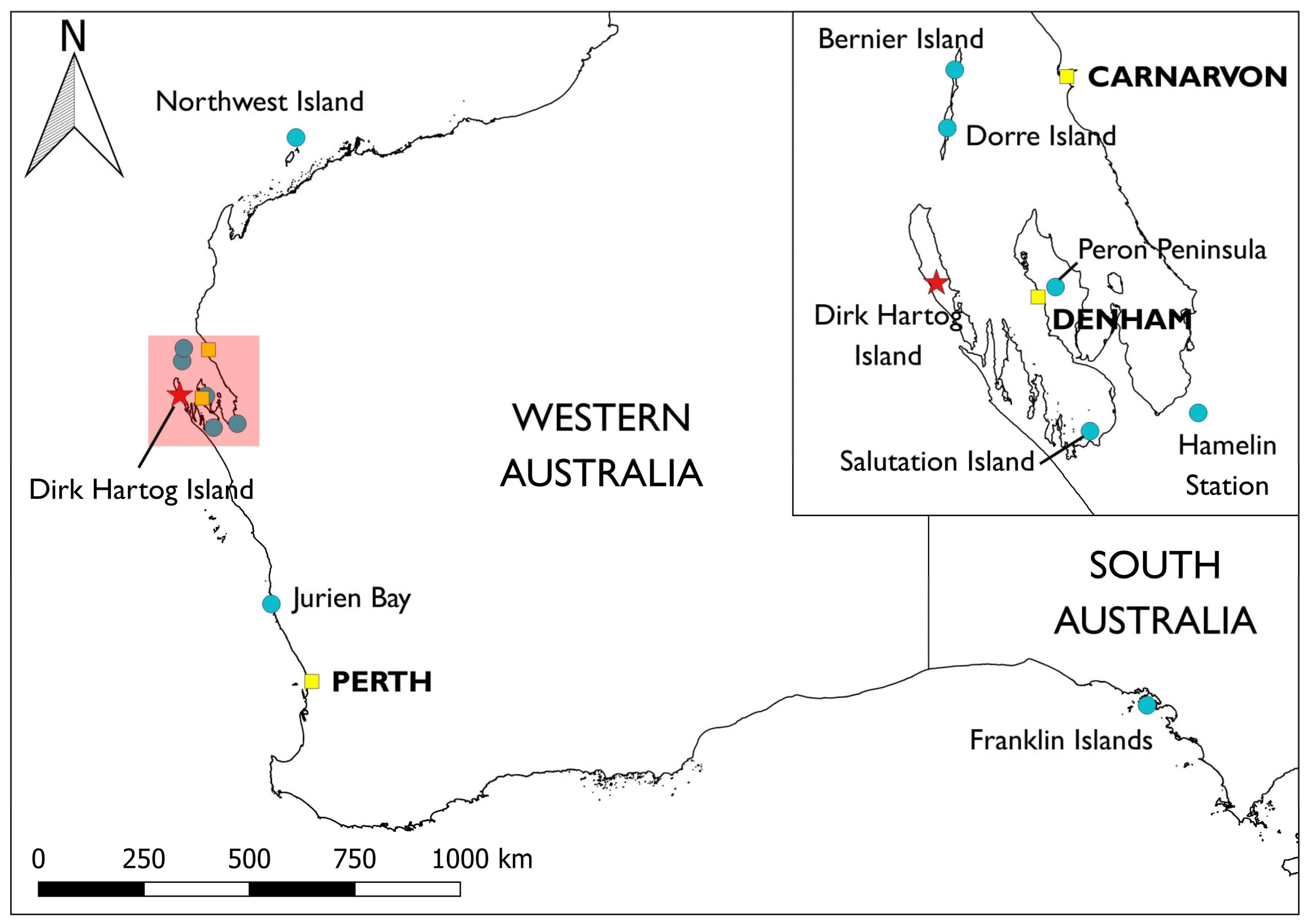 Animals 13 02762 g001