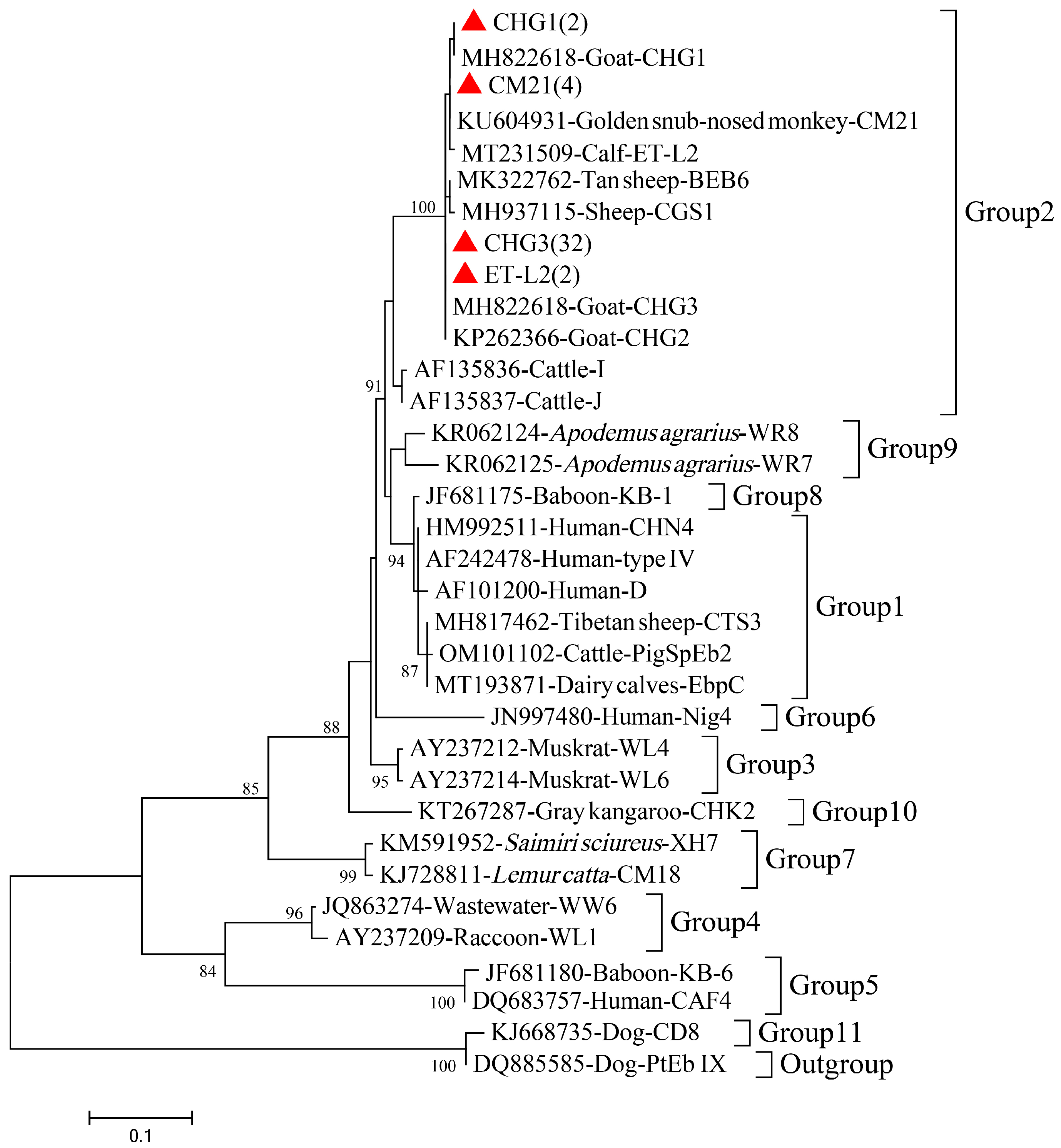 Animals 13 02777 g003