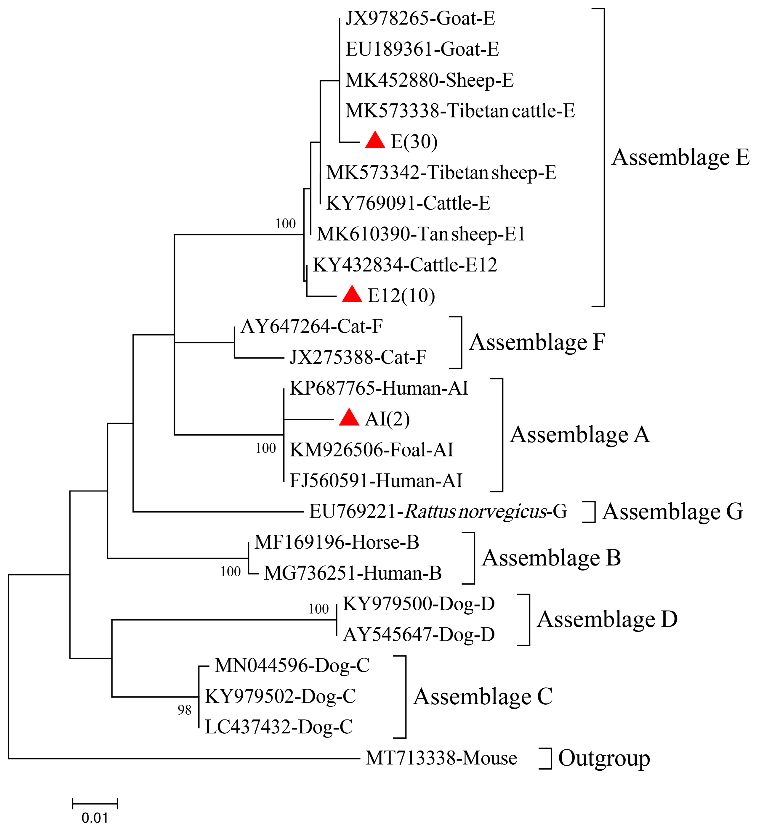 Animals 13 02777 g004