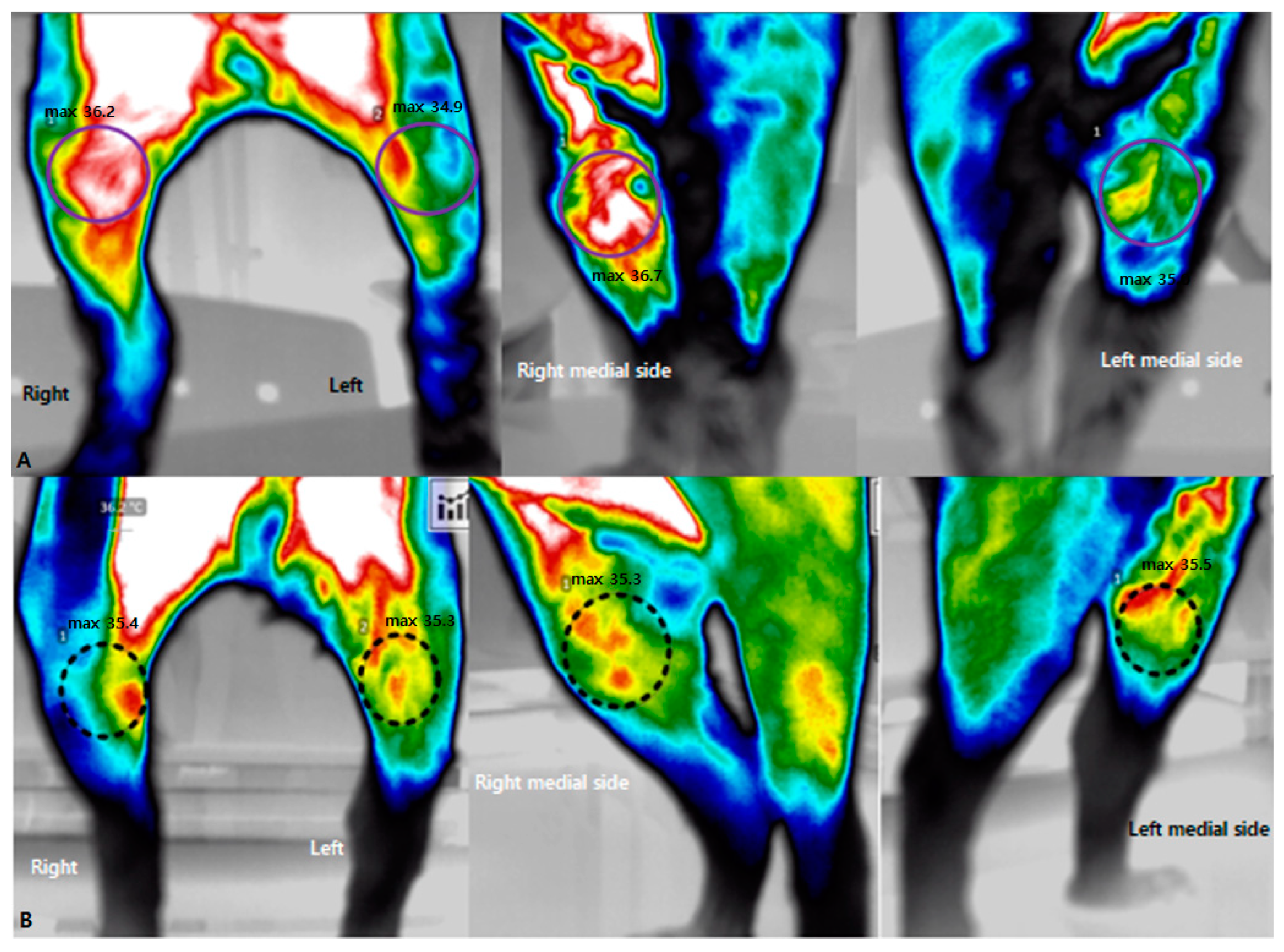 Animals 13 02778 g002