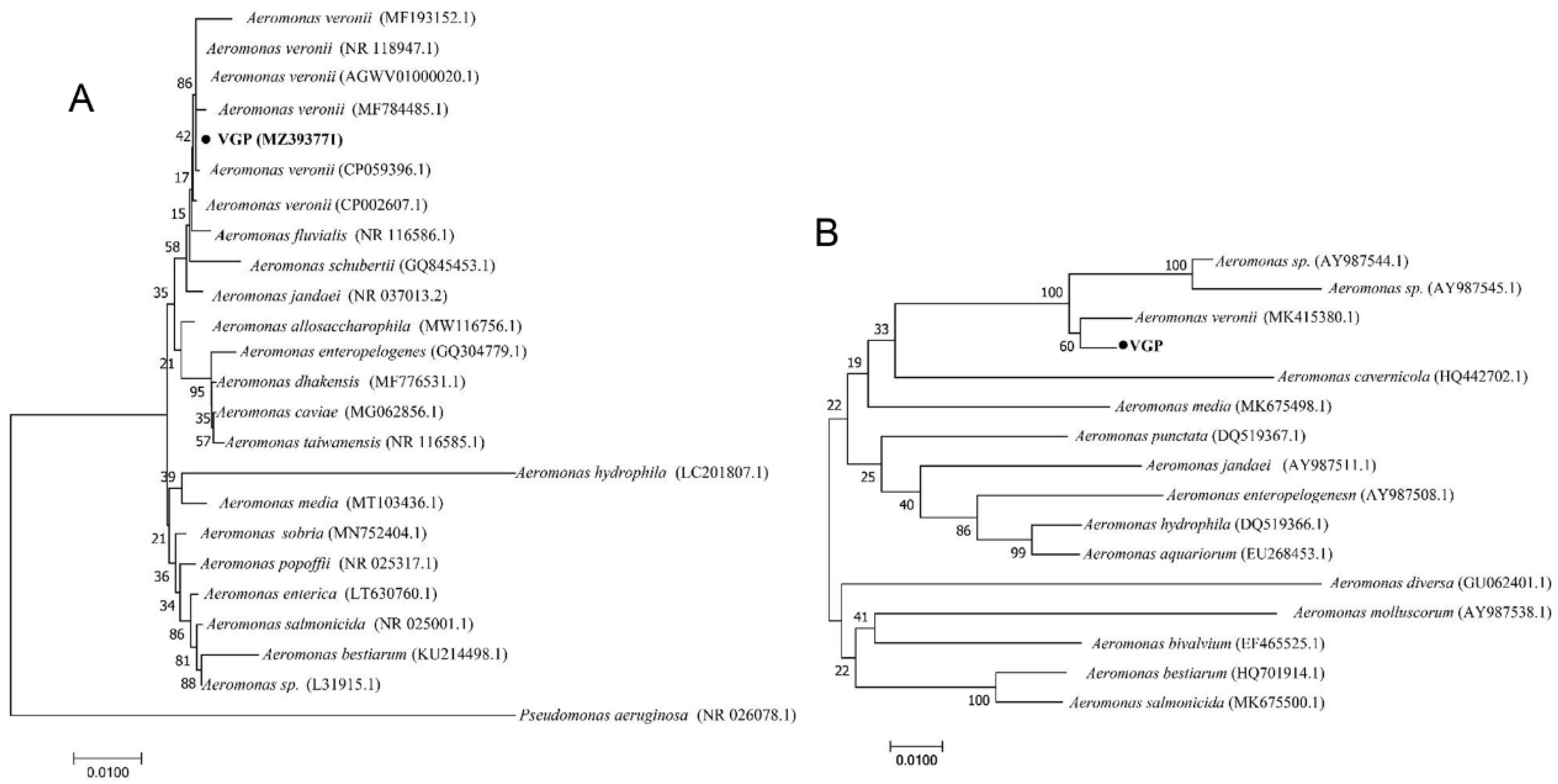 Animals 13 02779 g003