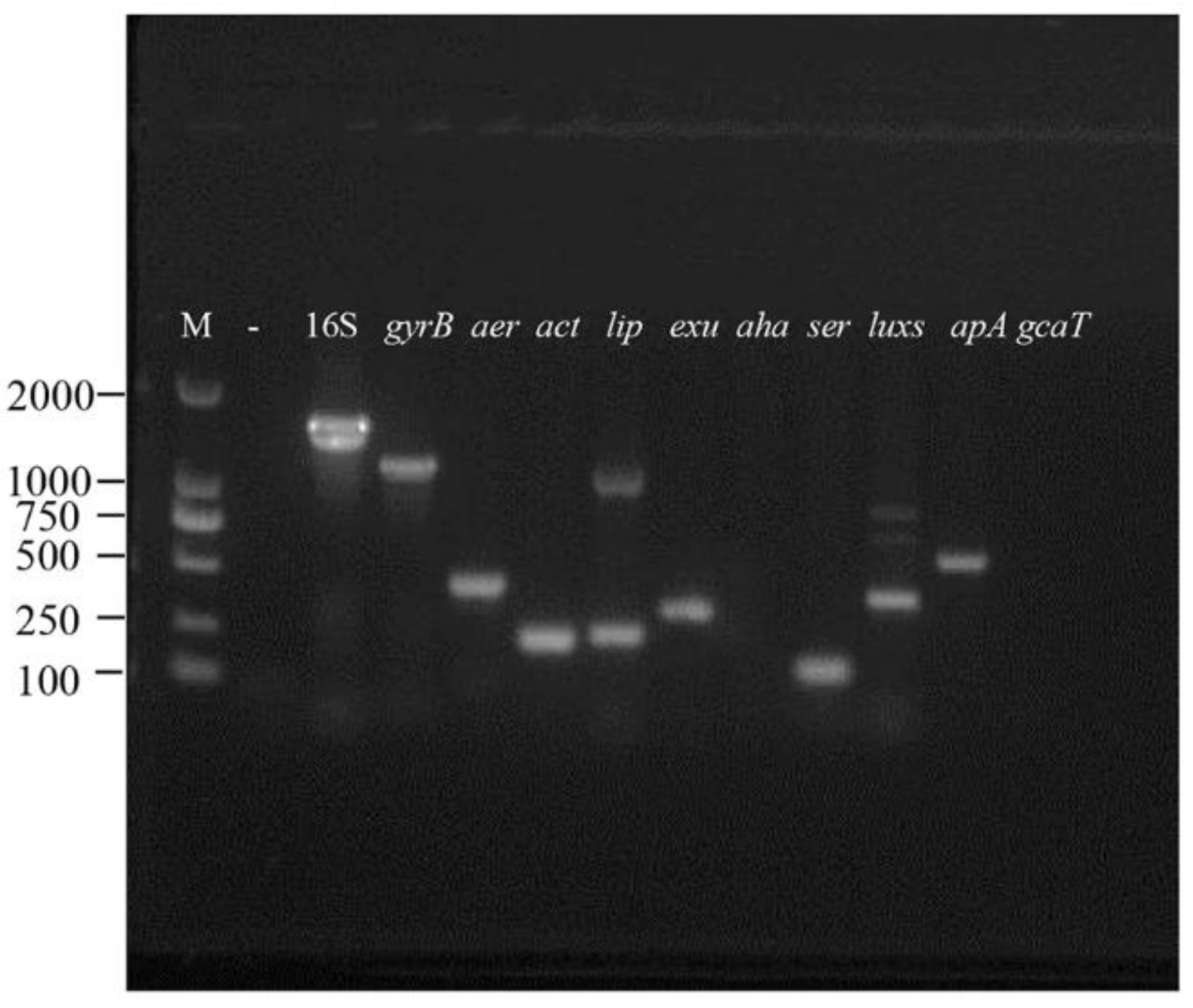 Animals 13 02779 g006