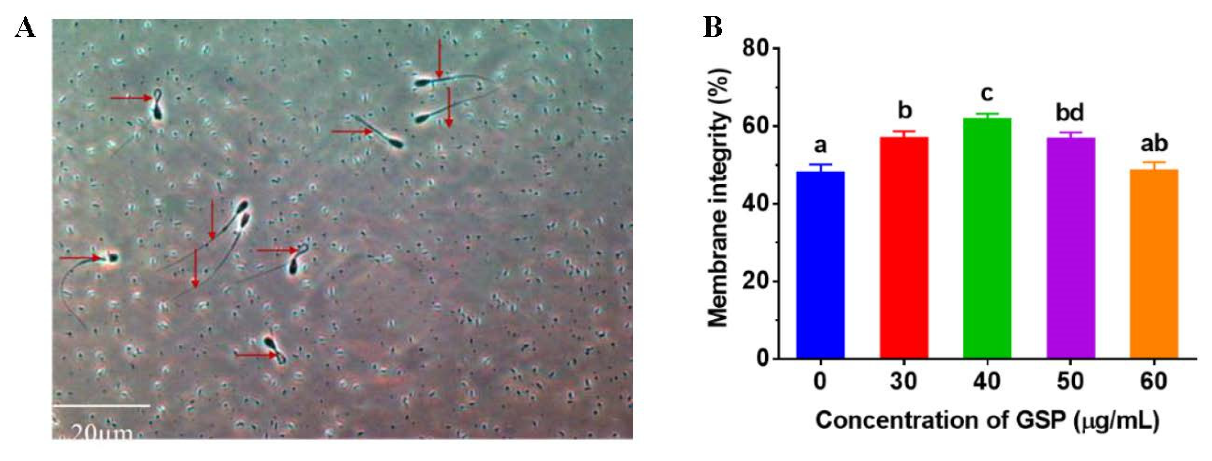 Animals 13 02781 g001