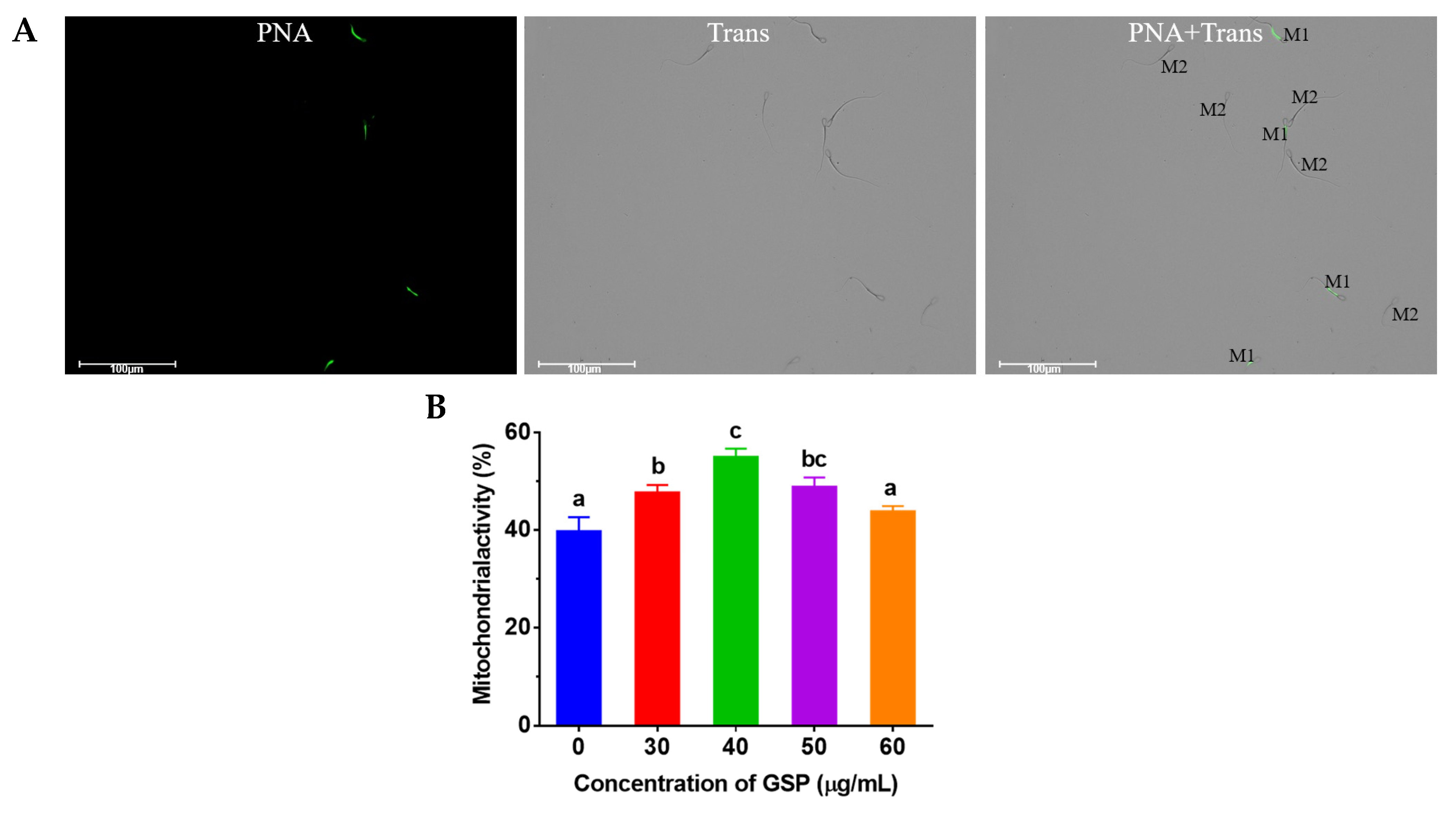 Animals 13 02781 g003