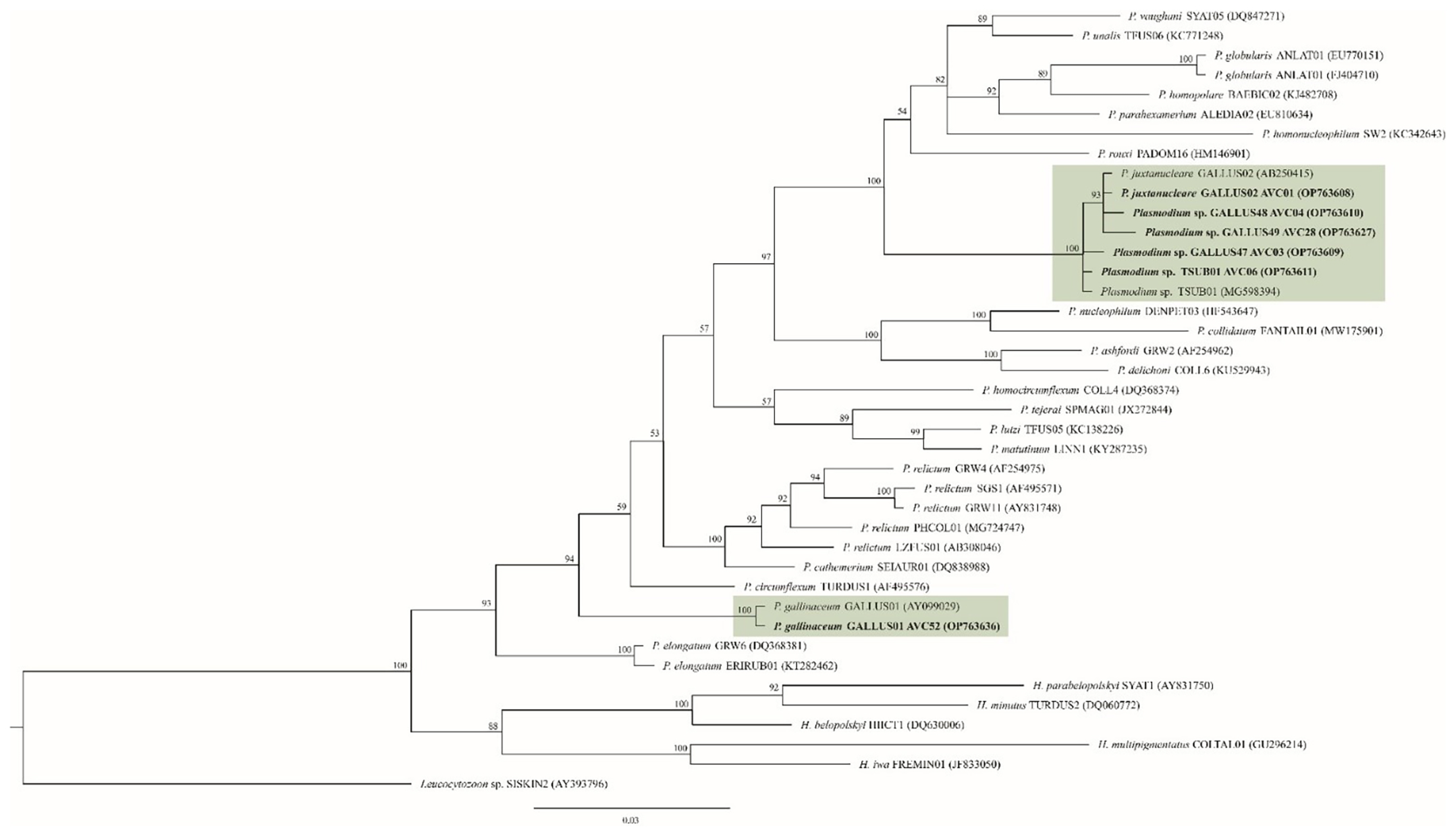 Animals 13 02798 g003