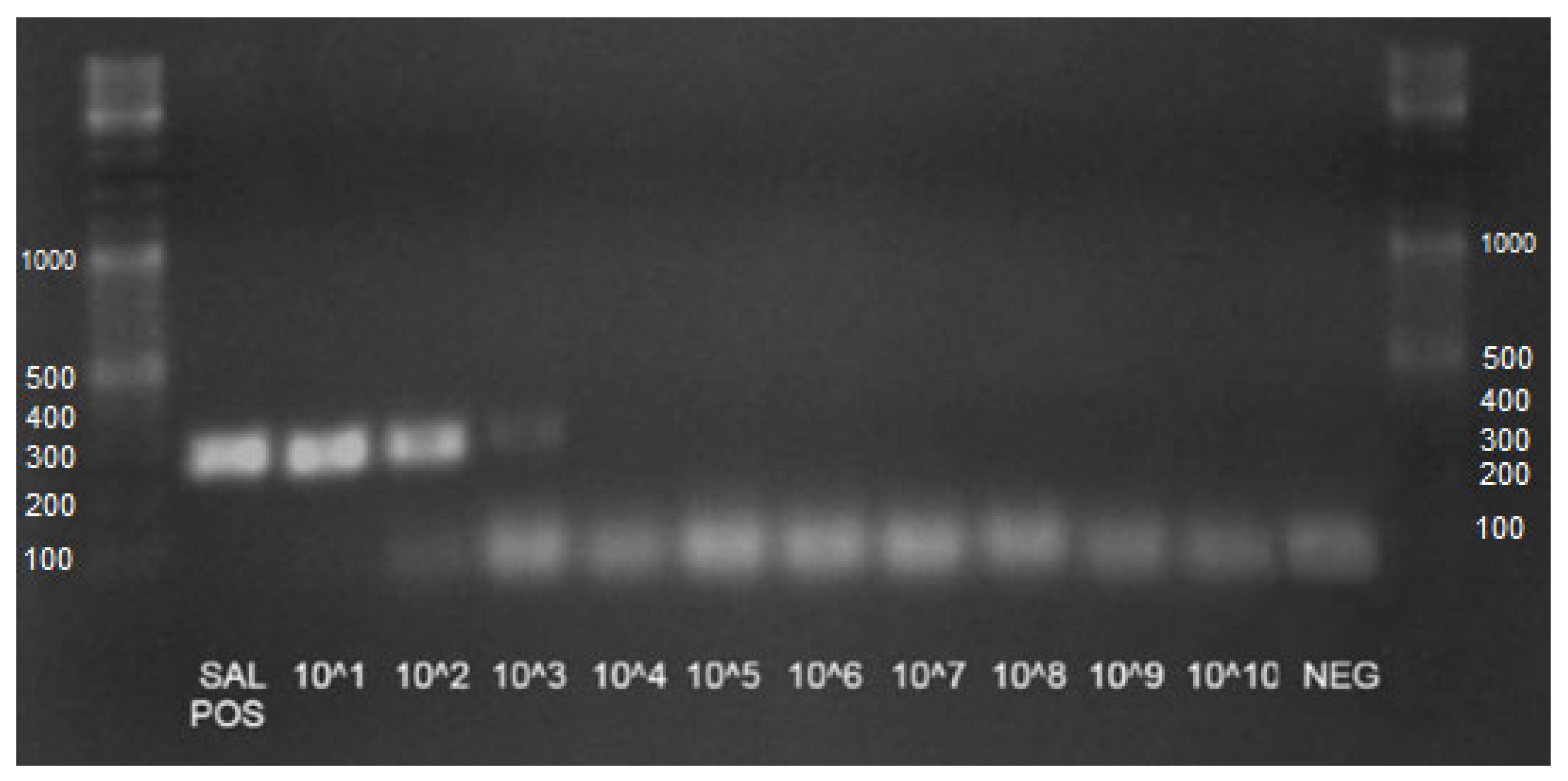 Animals 13 02807 g0a3