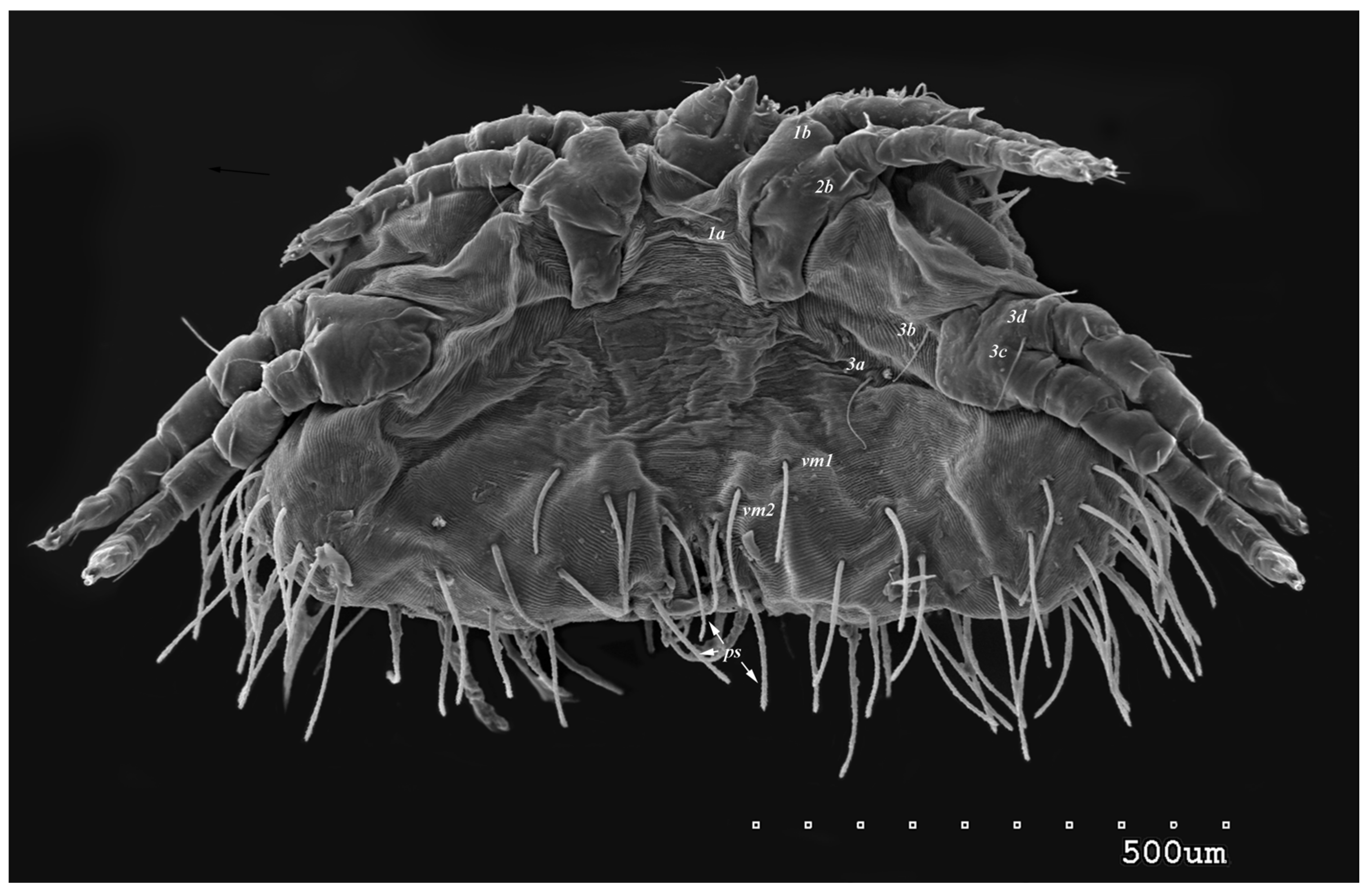 Animals 13 02809 g003