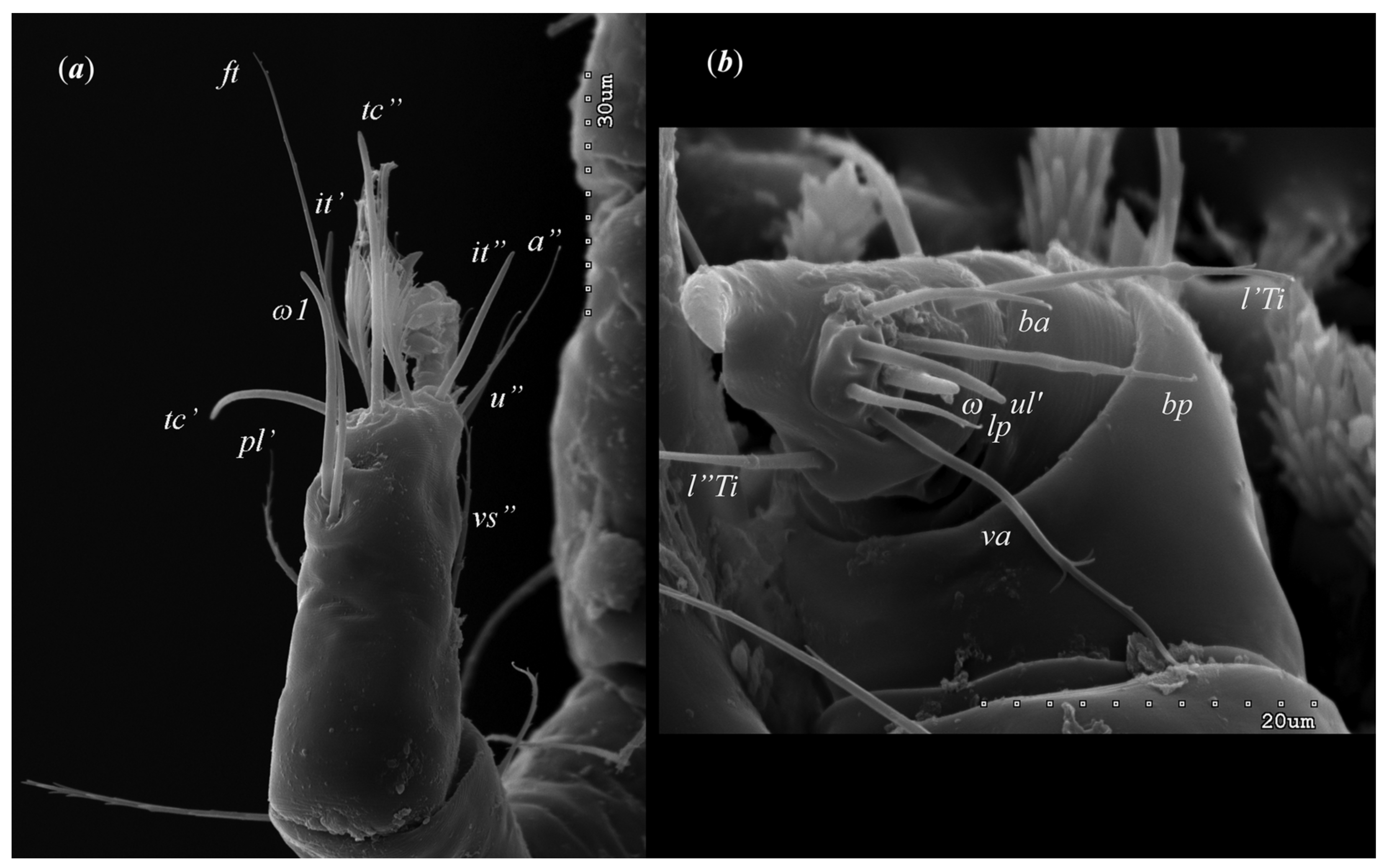 Animals 13 02809 g004