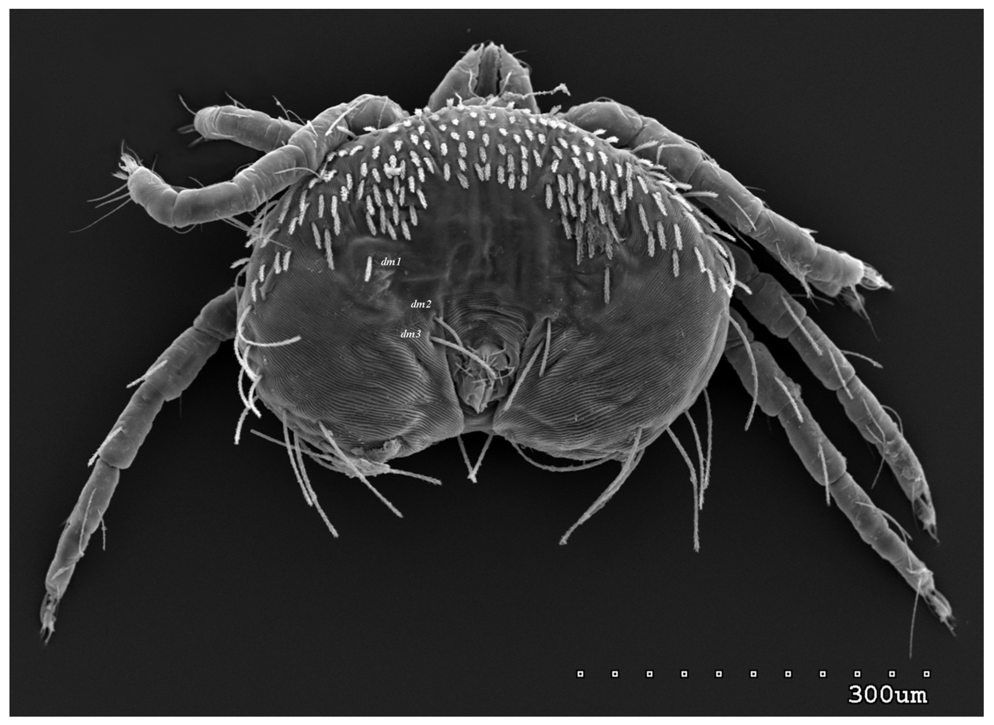 Animals 13 02809 g005