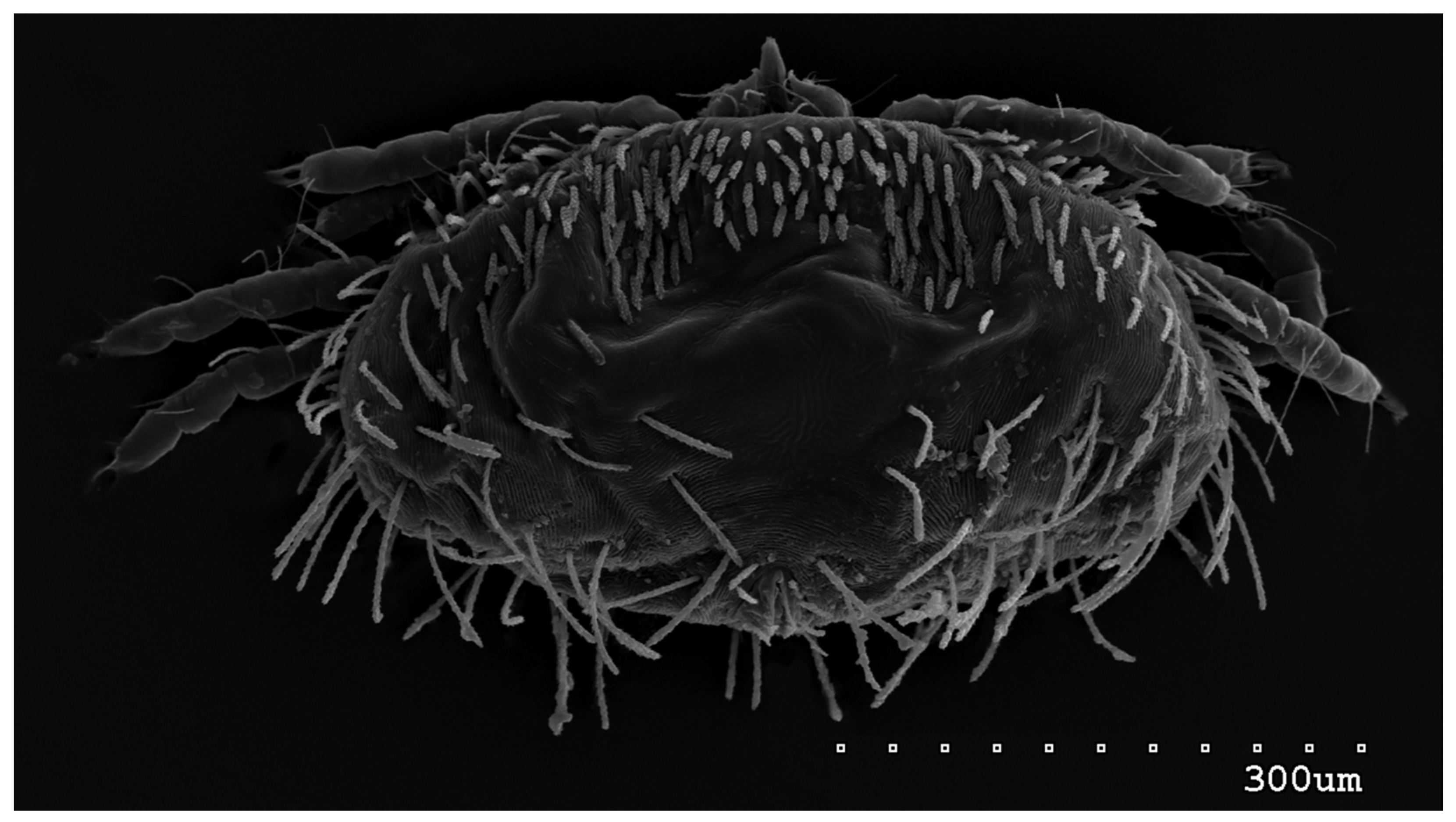 Animals 13 02809 g009