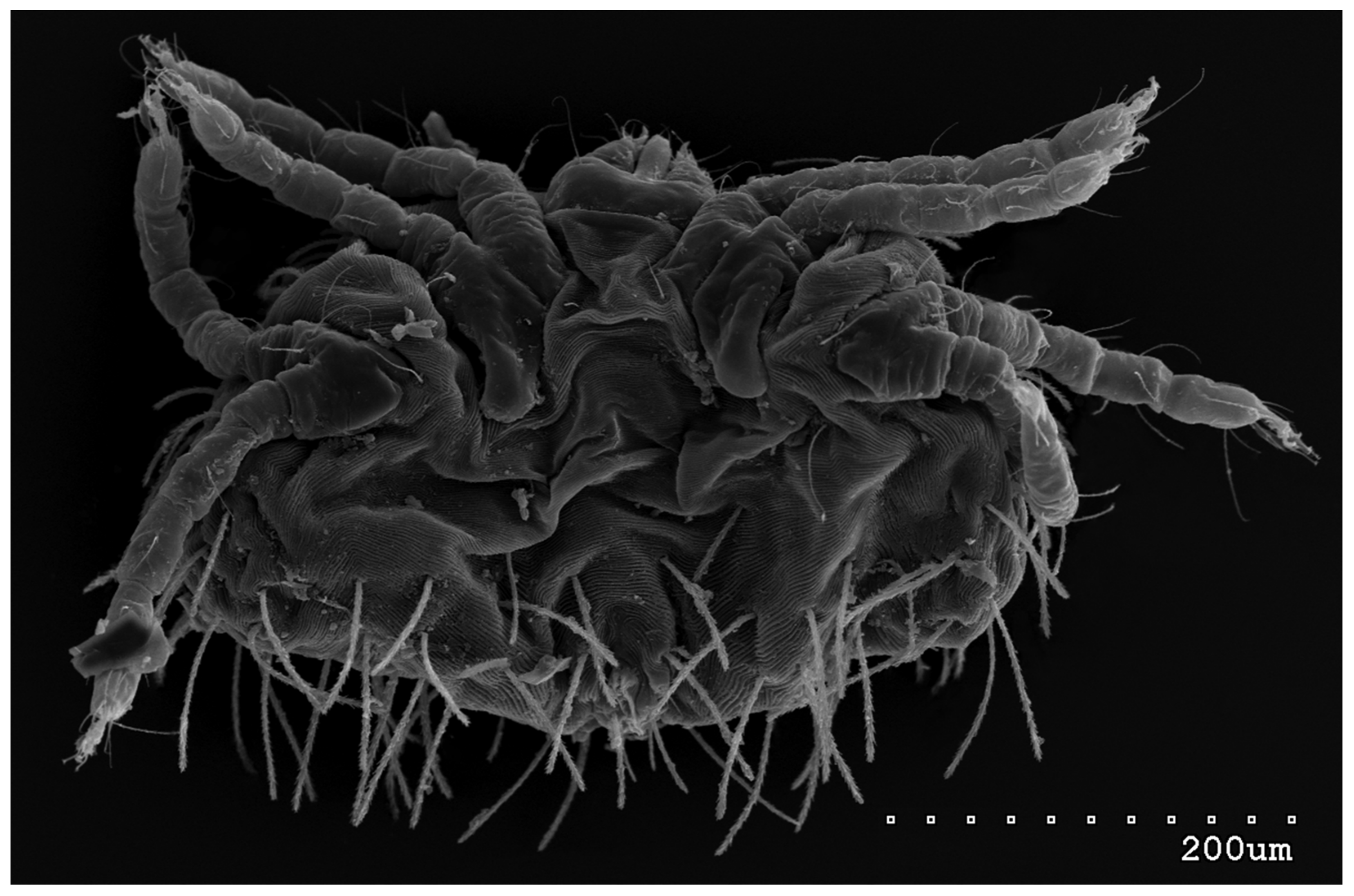 Animals 13 02809 g010