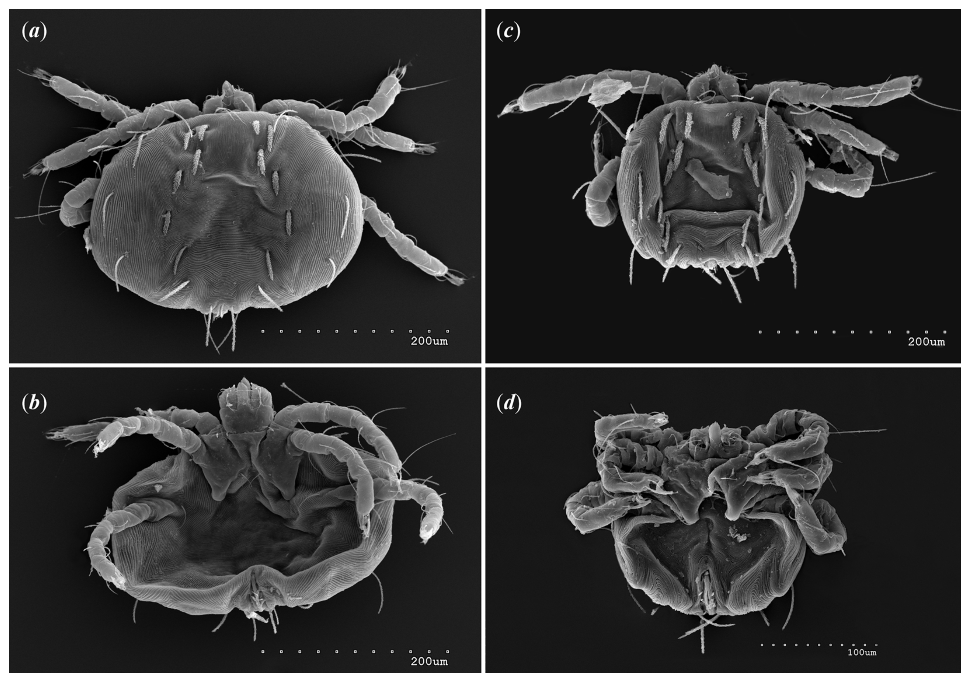 Animals 13 02809 g013