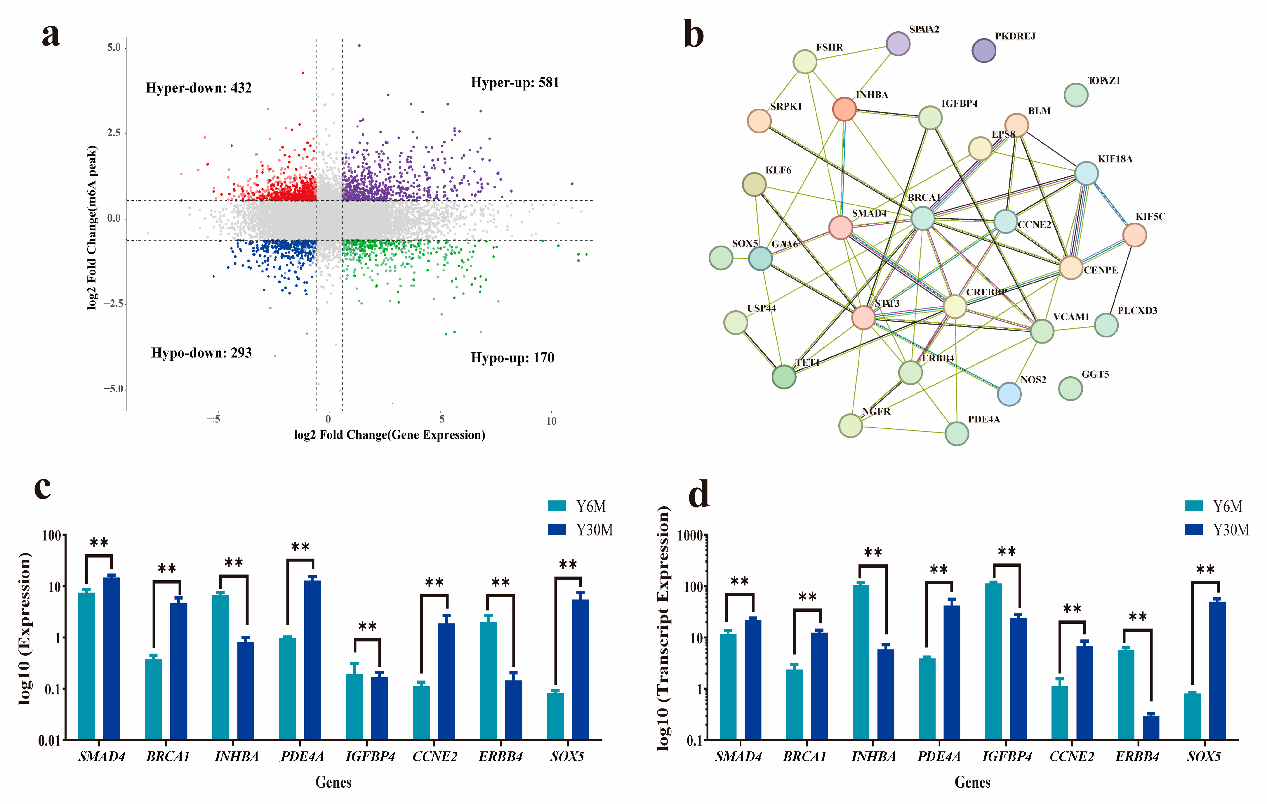 Animals 13 02815 g005