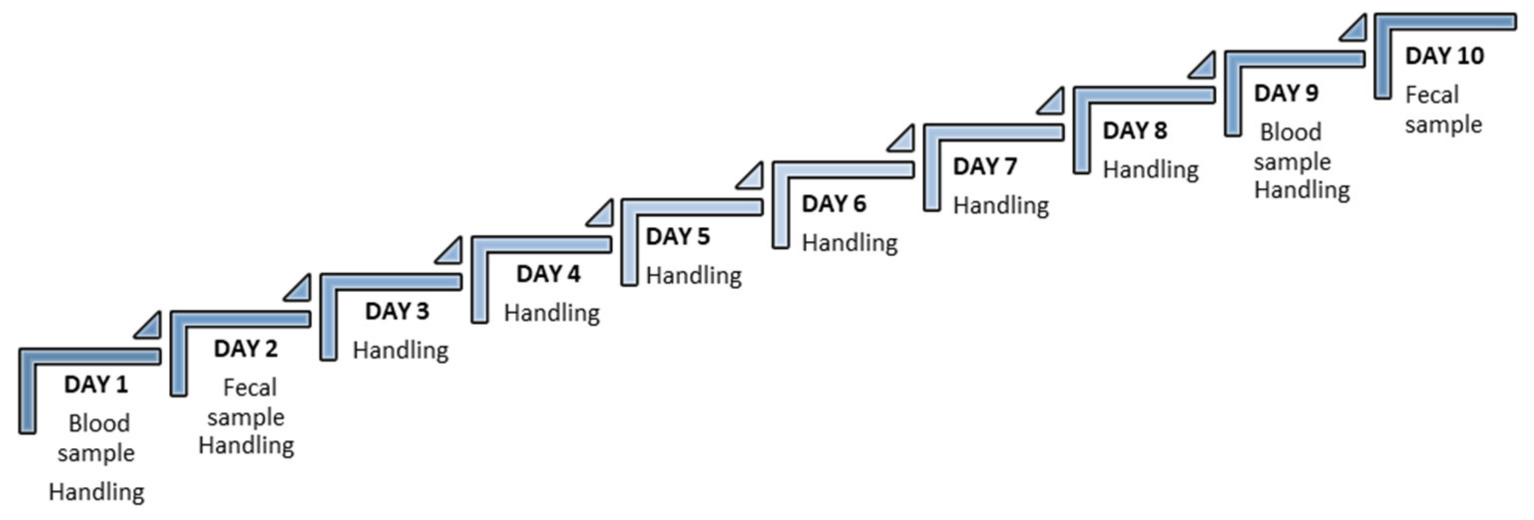 Animals 13 02816 g001