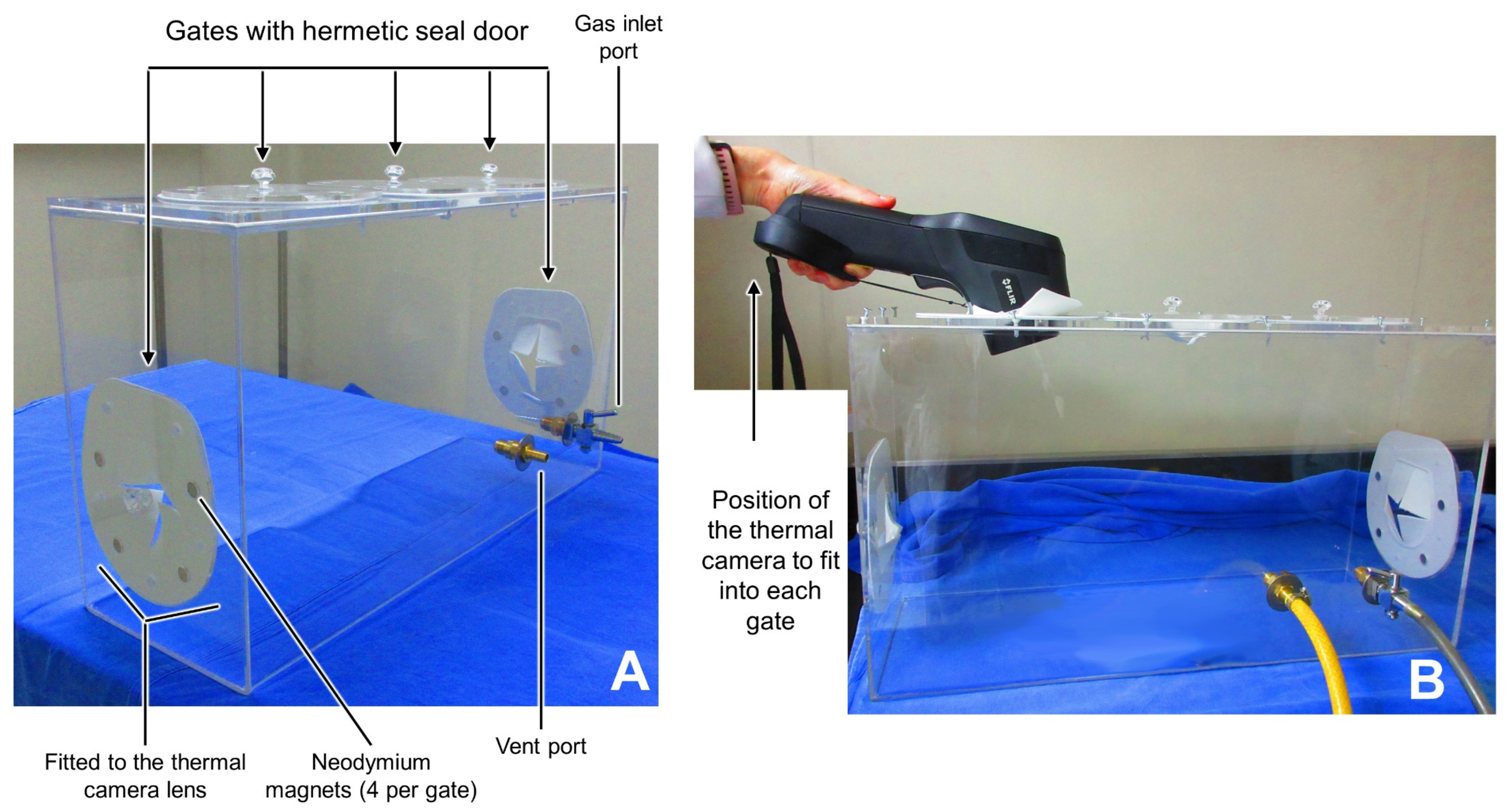 Animals 13 02820 g001