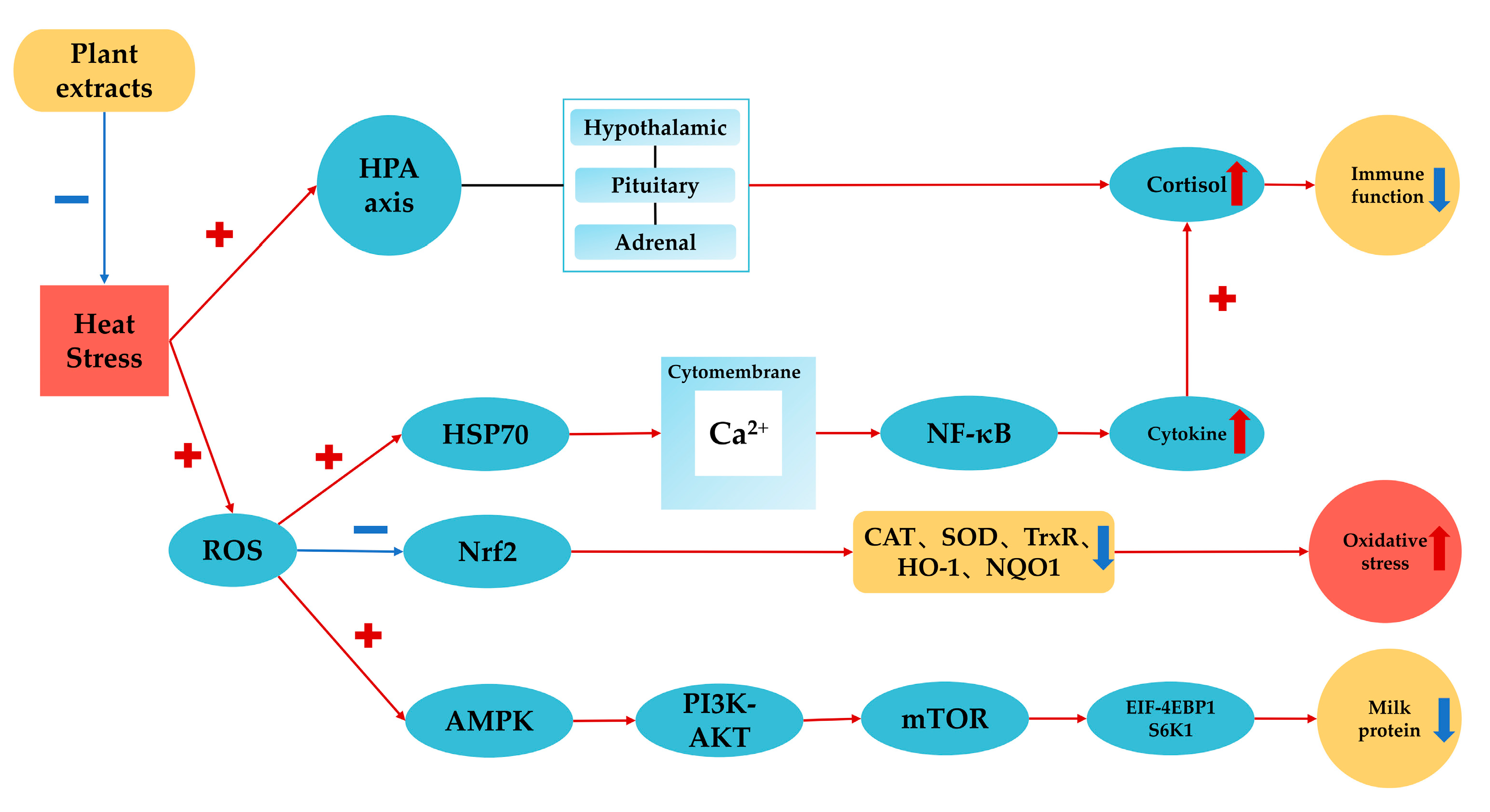 Animals 13 02831 g001