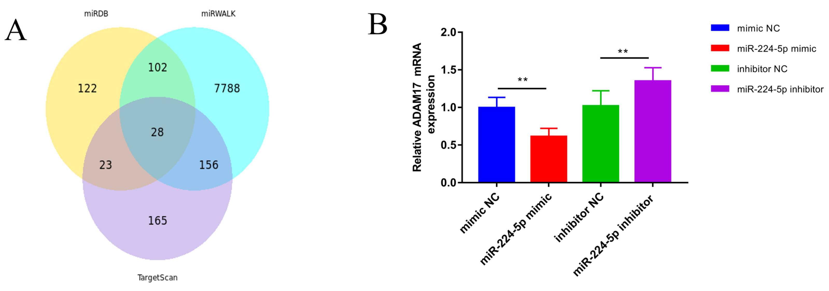 Animals 13 02835 g004