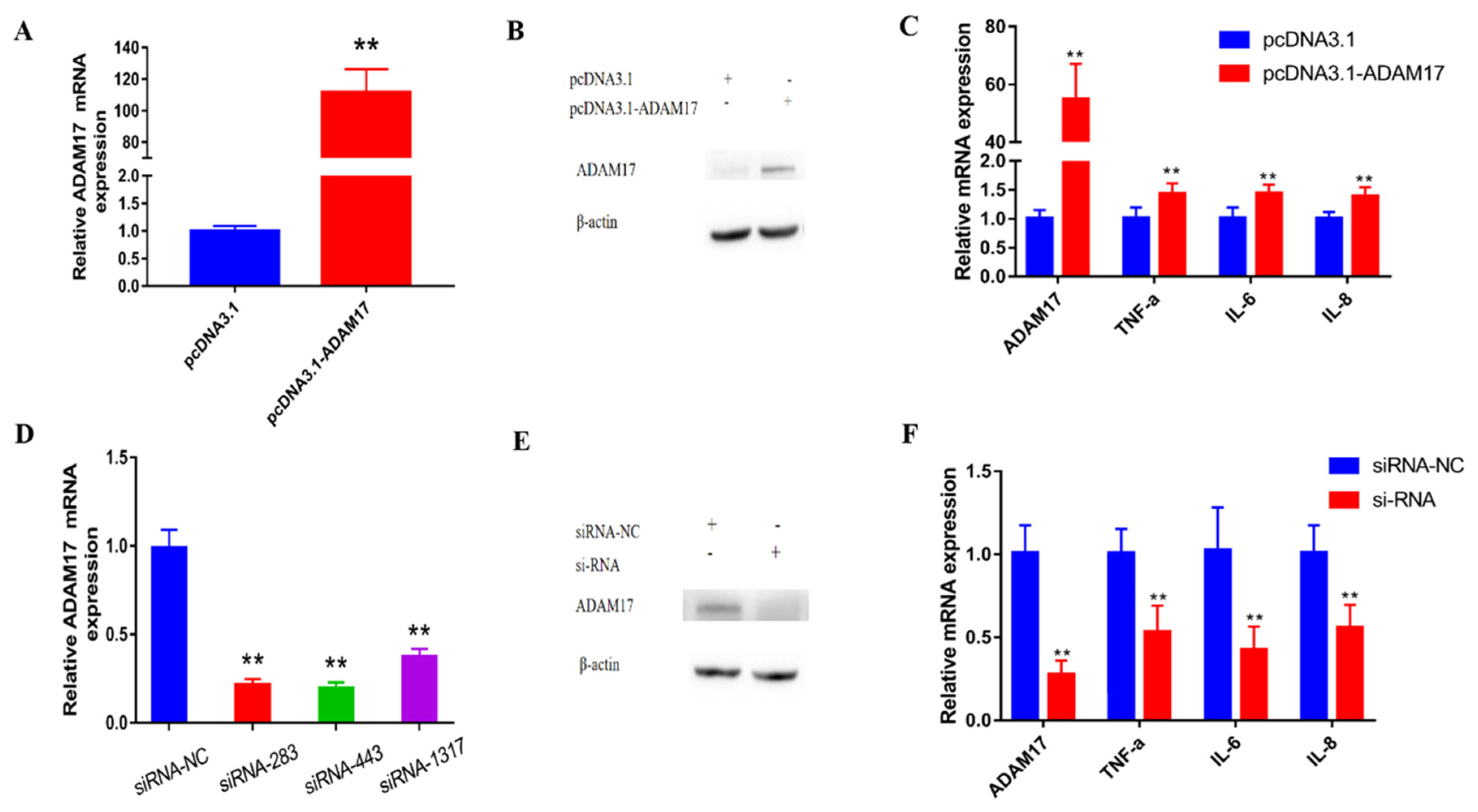 Animals 13 02835 g005