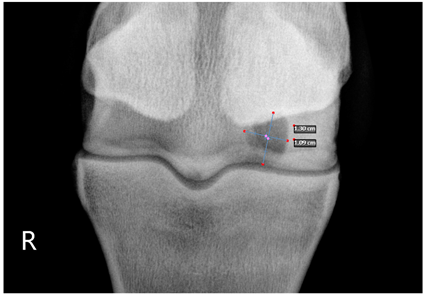 Animals 13 02838 i001