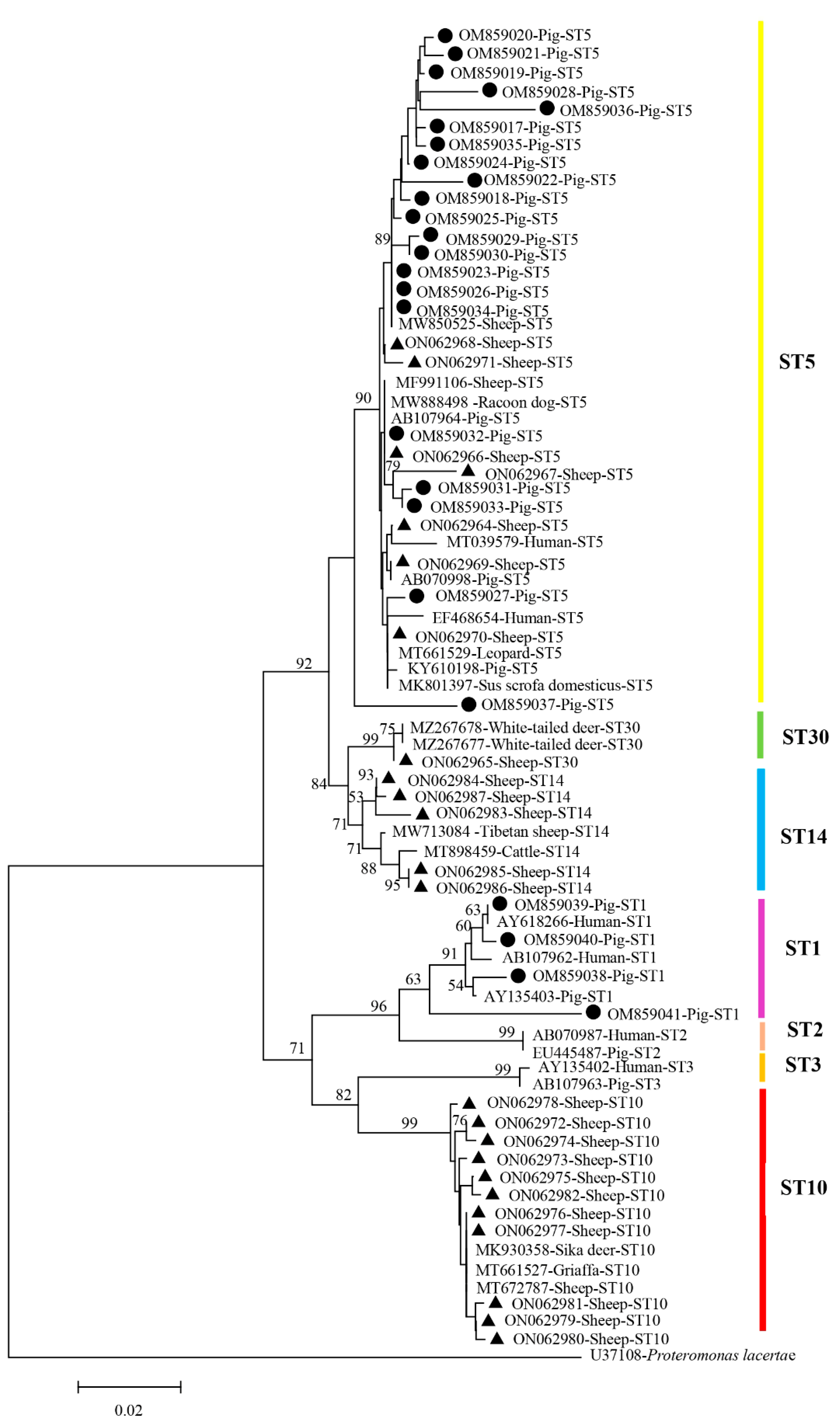 Animals 13 02843 g002