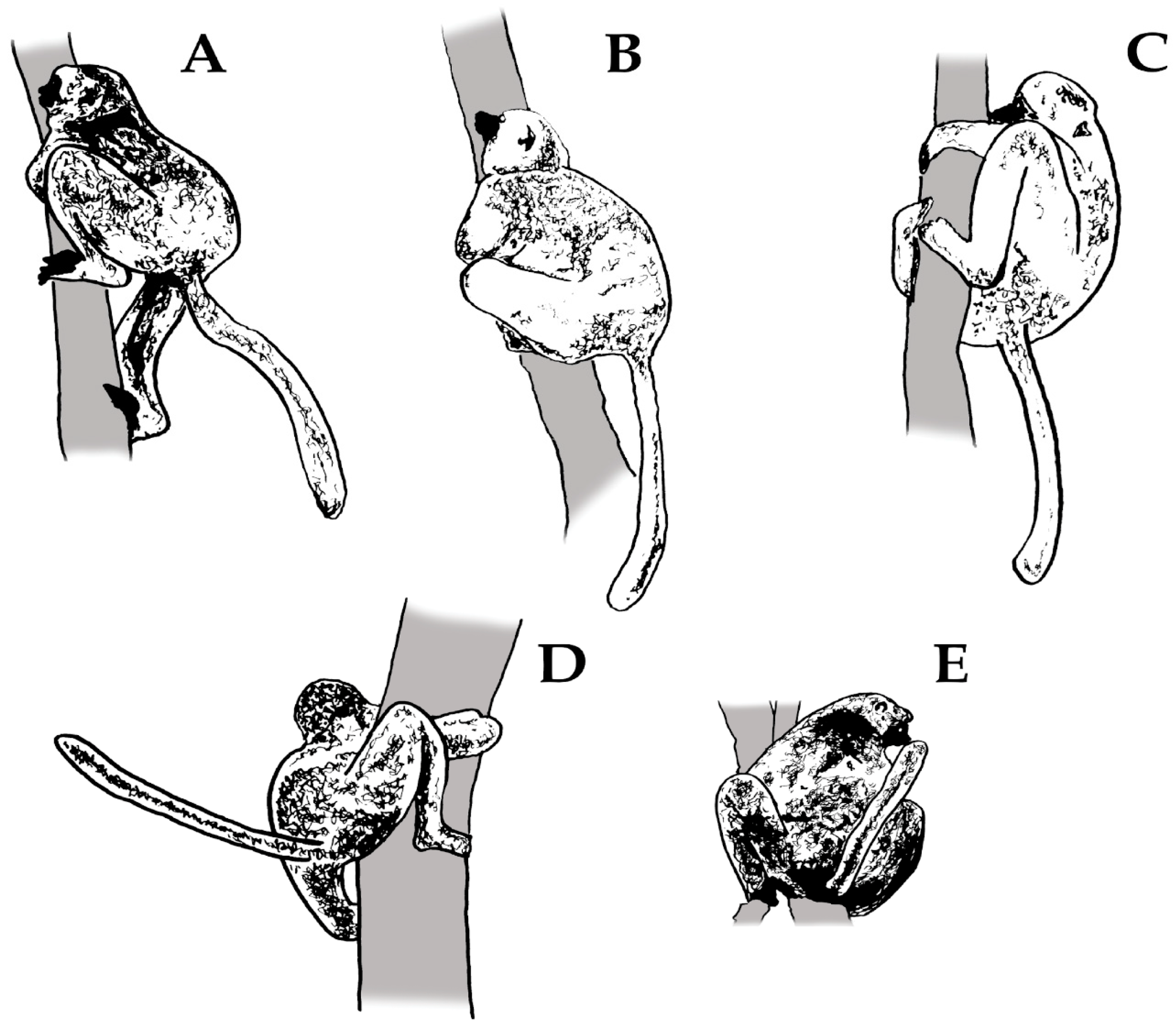 Animals 13 02848 g001 Animals 13 02848 g001