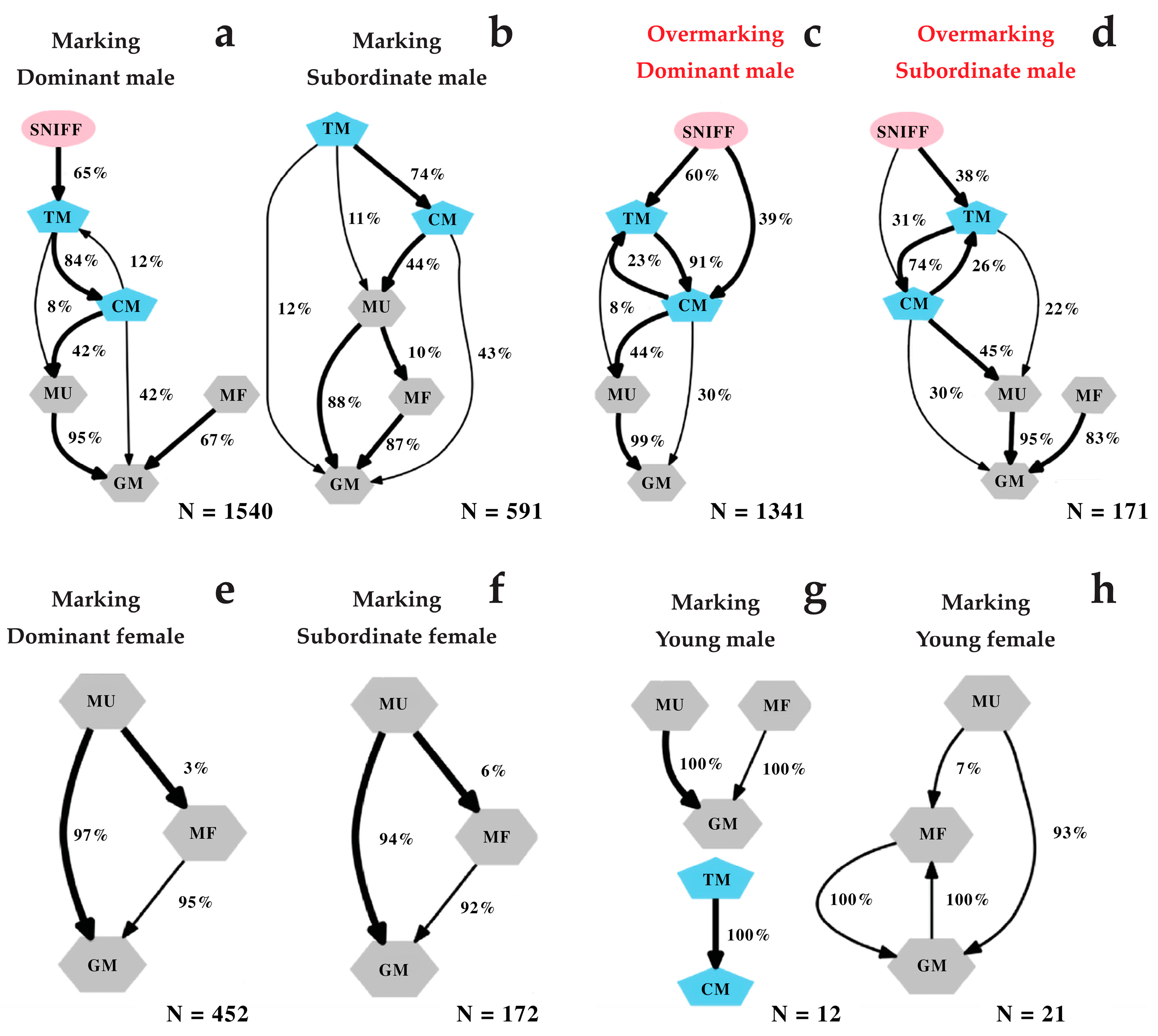 Animals 13 02848 g004 Animals 13 02848 g004