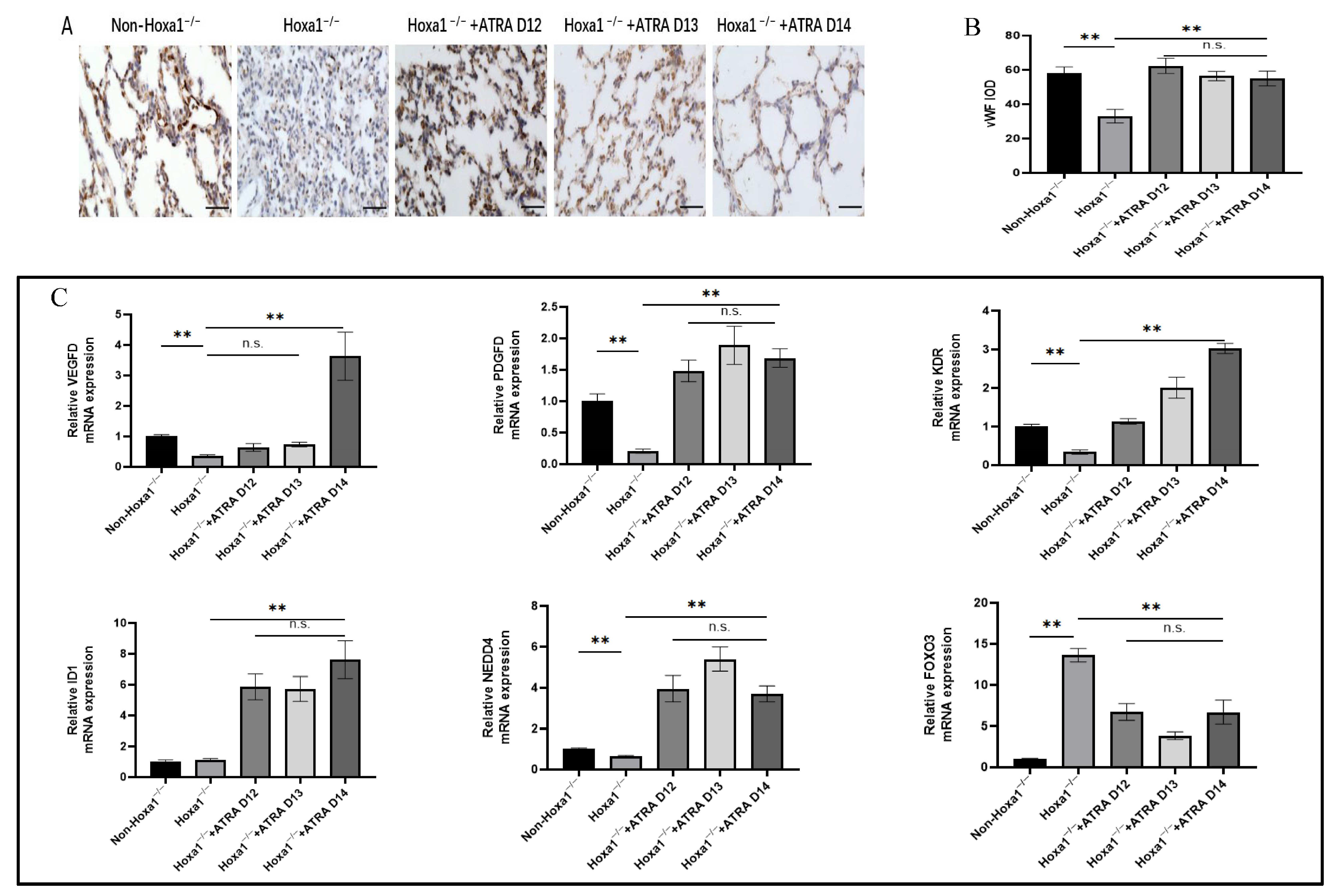 Animals 13 02850 g004