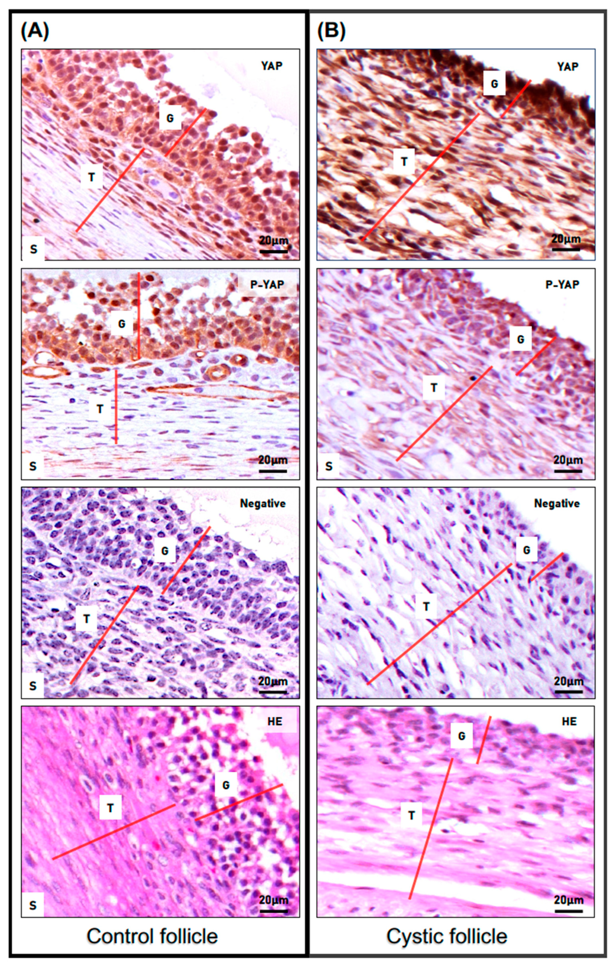 Animals 13 02851 g003 Animals 13 02851 g003