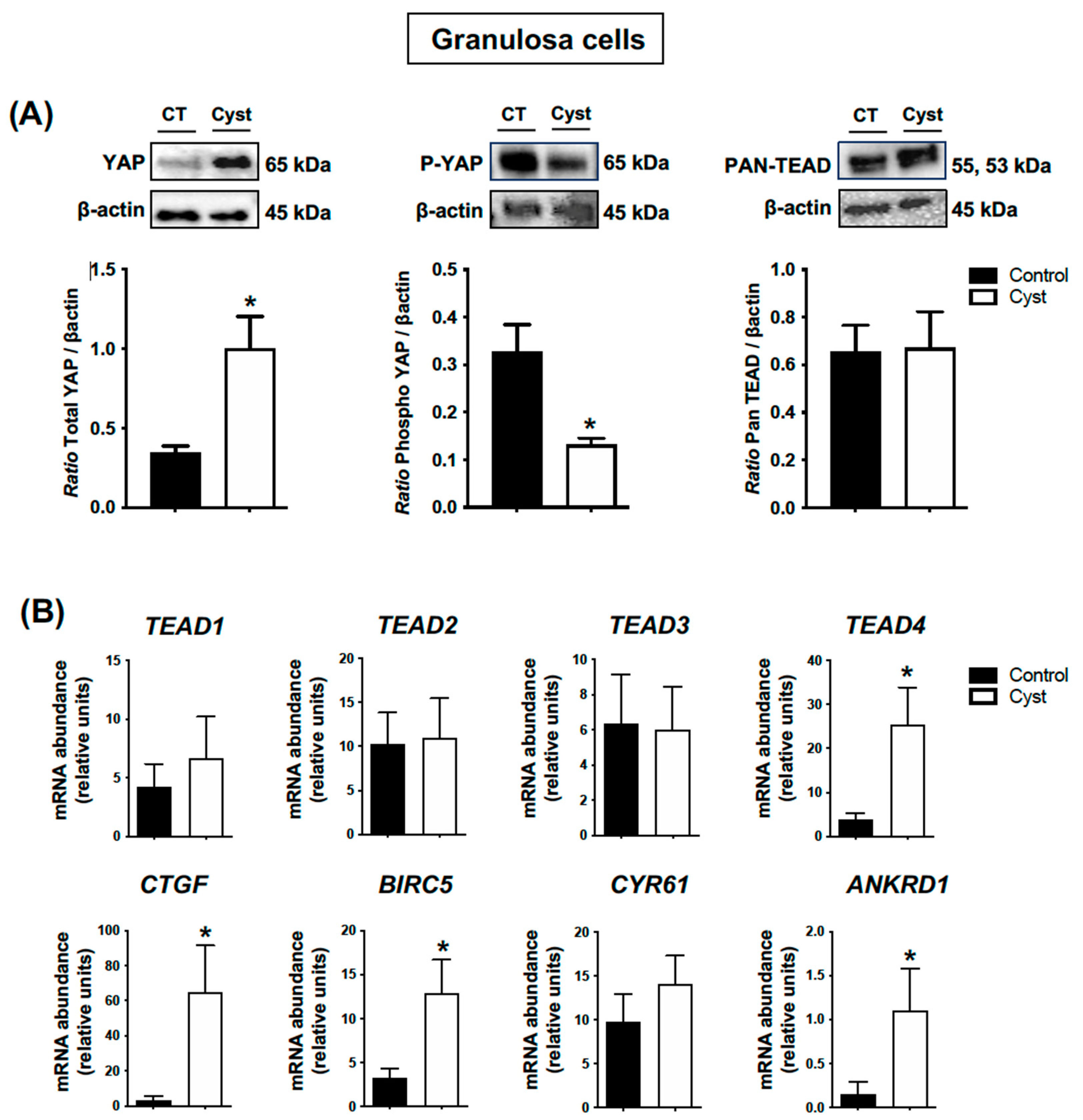 Animals 13 02851 g004 Animals 13 02851 g004
