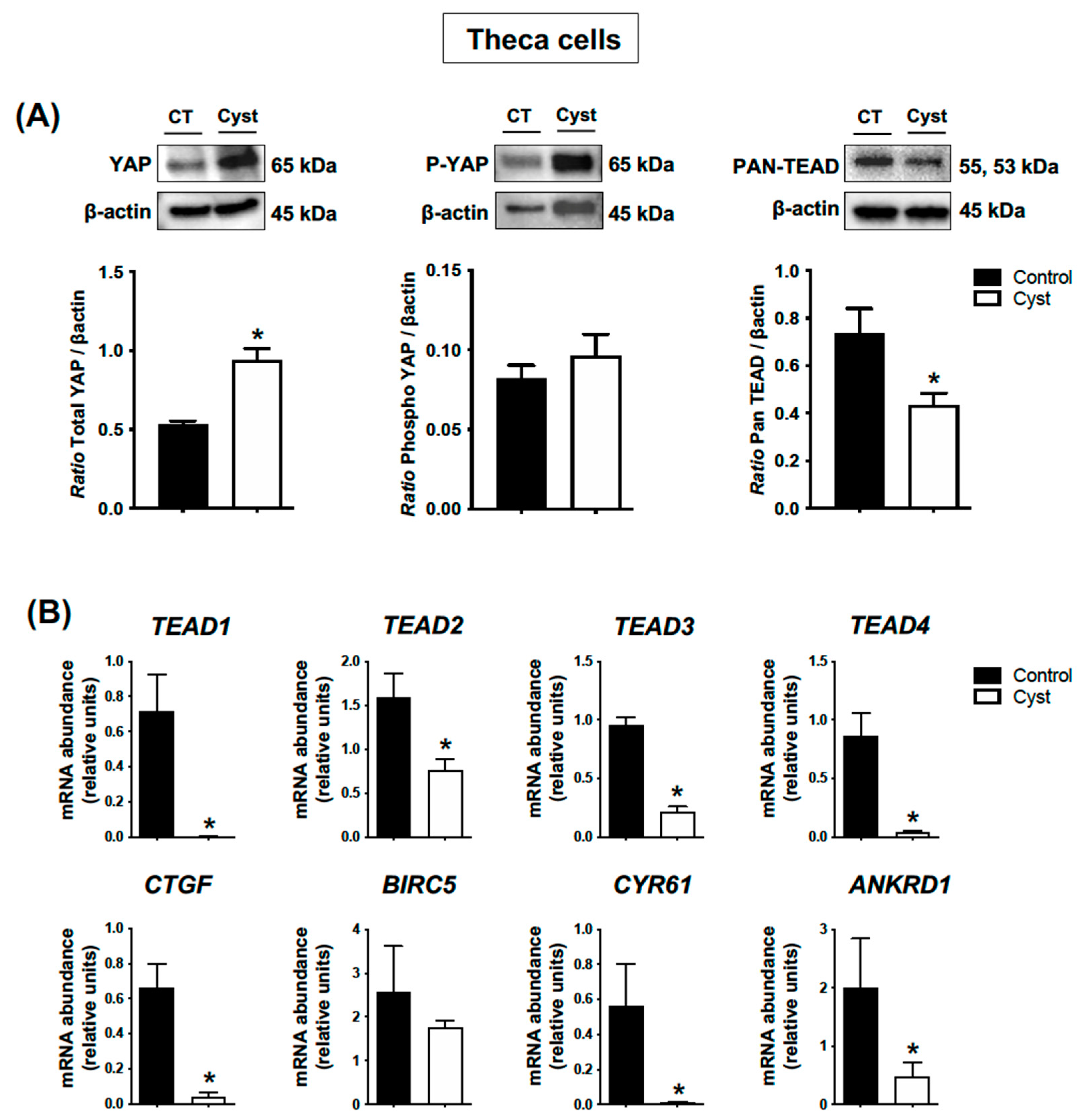 Animals 13 02851 g005 Animals 13 02851 g005