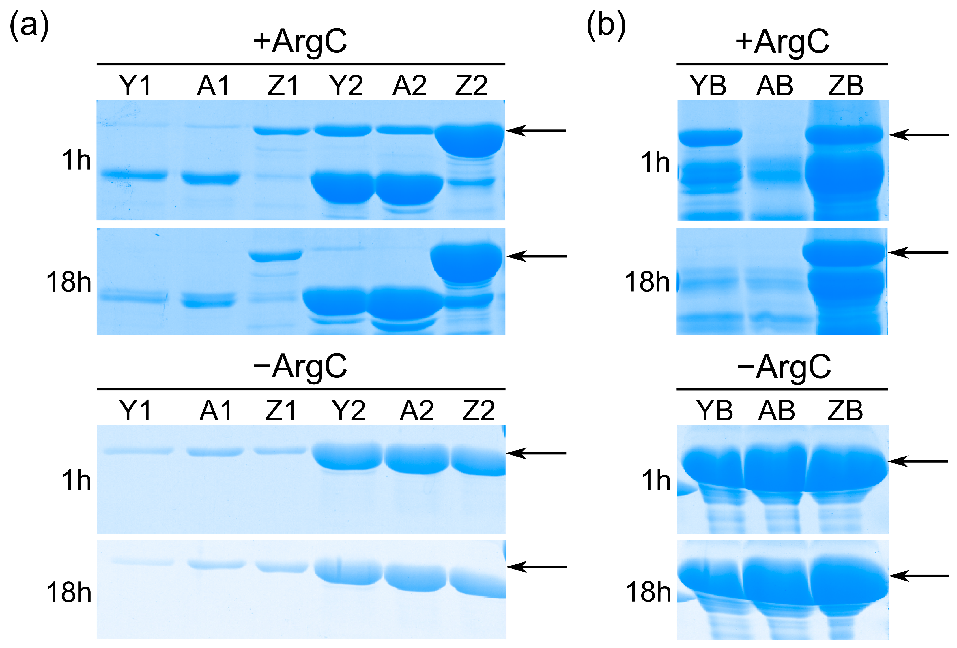 Animals 13 02855 g005 Animals 13 02855 g005
