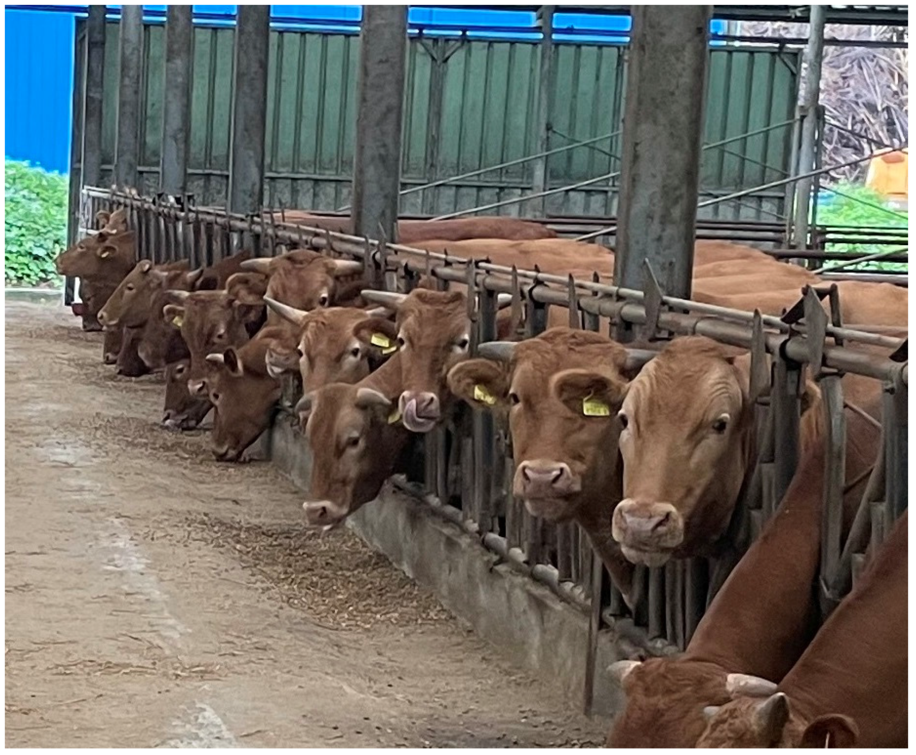 Animals 13 02856 g001 Animals 13 02856 g001