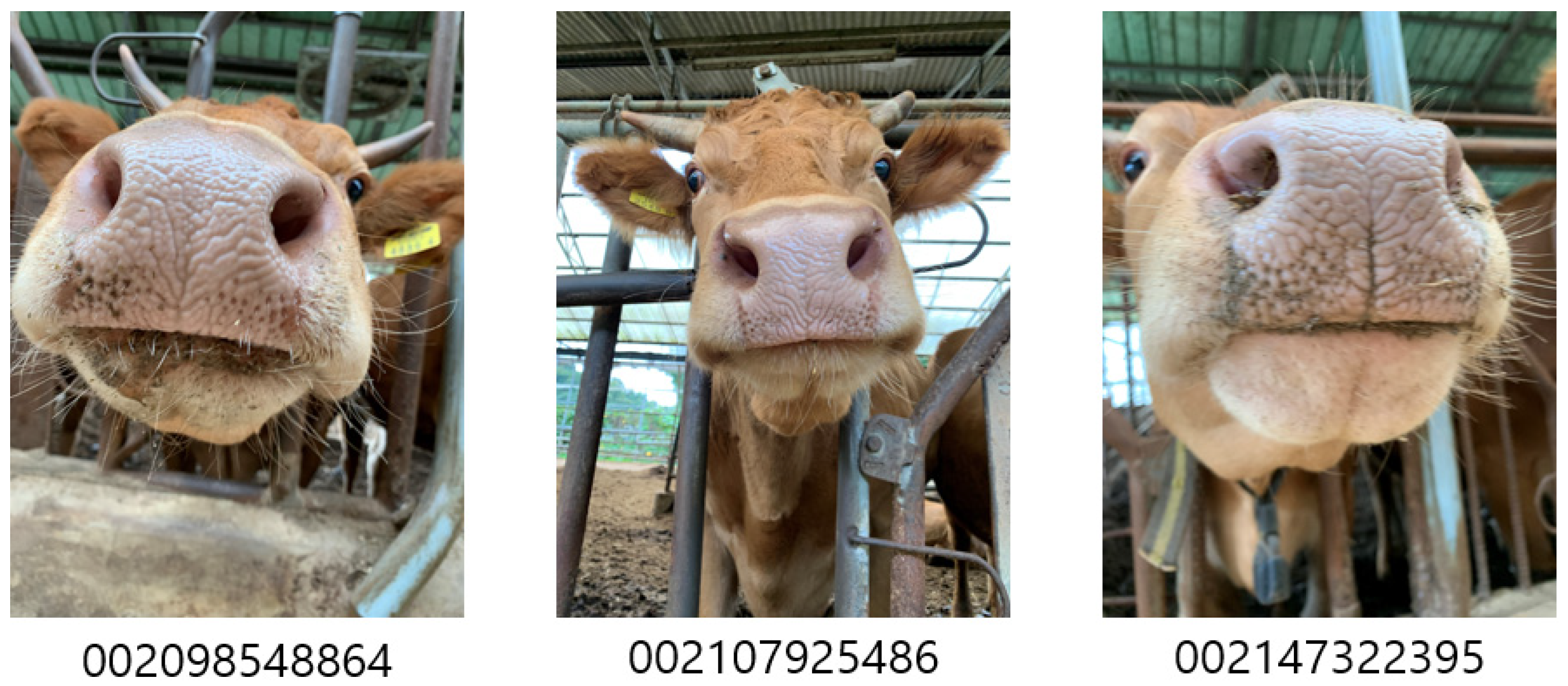 Animals 13 02856 g002 Animals 13 02856 g002