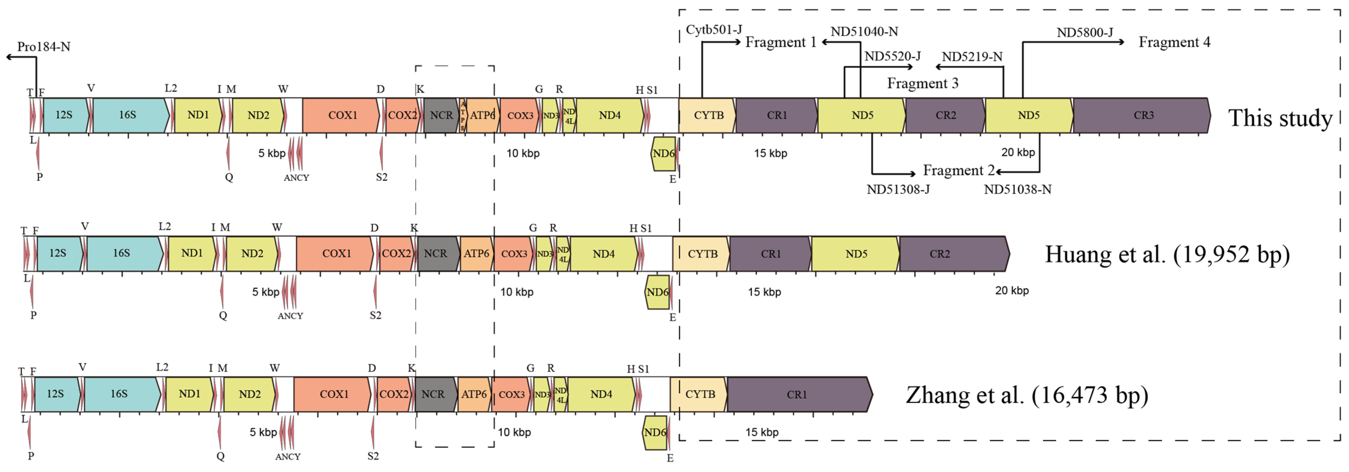 Animals 13 02857 g001
